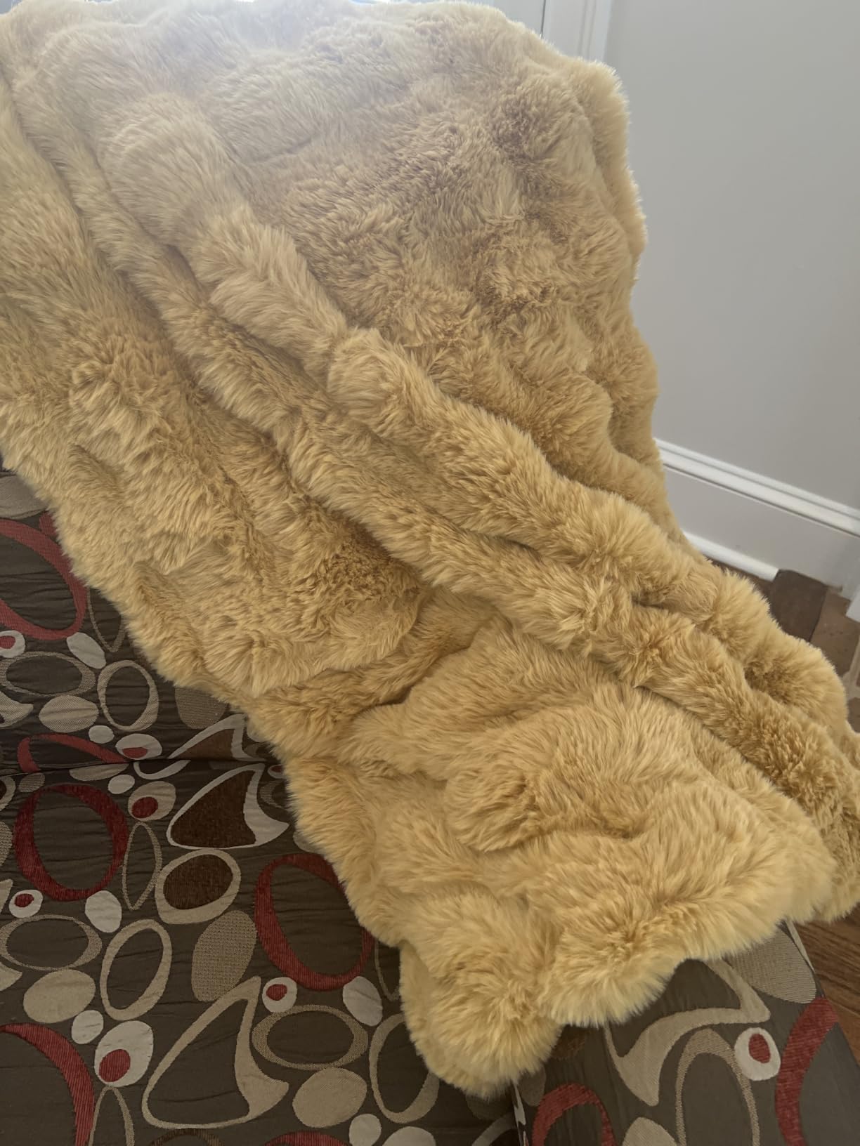 Ultra Soft Cozy Faux Fur Throw Blanket, Fuzzy Plush Thick Bubble Blanket, Luxury Fluffy Blanket for Couch, Sofa, Bedroom, and Living Room, 50x60 Inches, Cream White customer photo 2