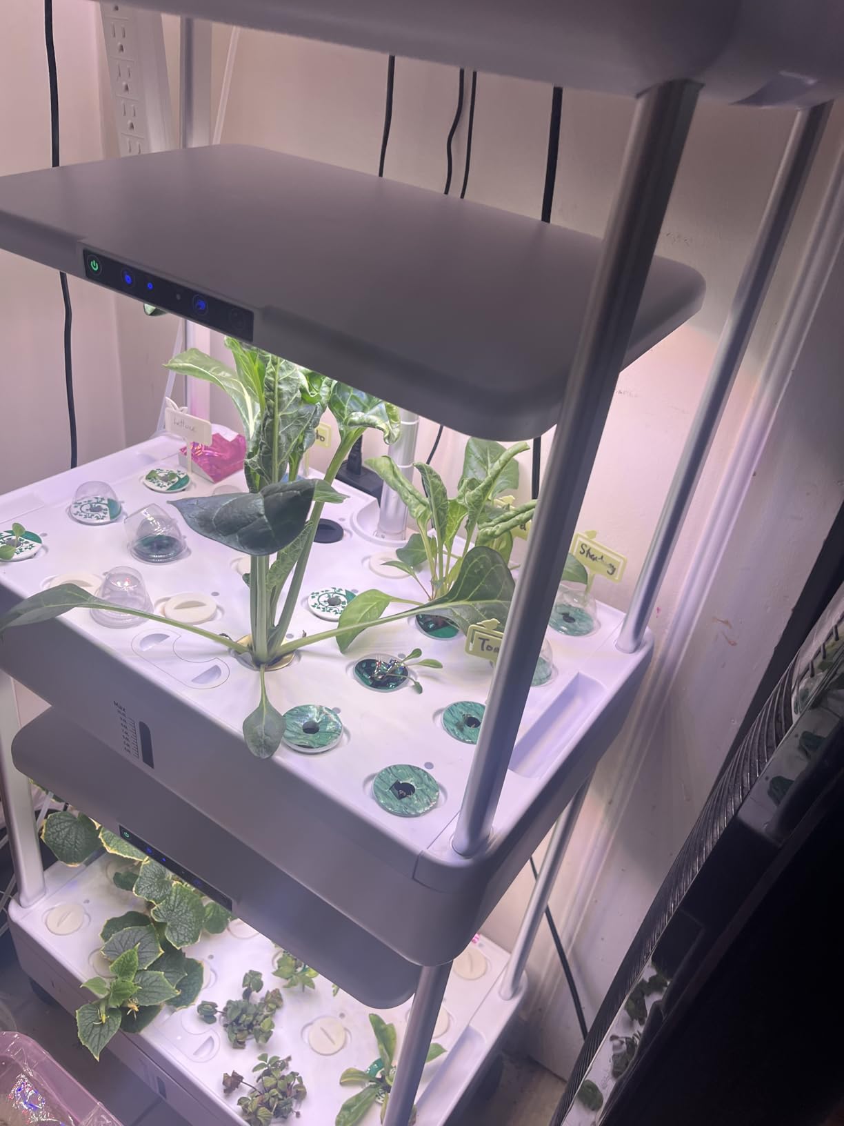 Ahopegarden Indoor Garden Hydroponics Growing System Kit: 66 Pods Plant Herb Garden Germination Kit with LED Grow Light, 30L Large Capacity Kitchen Hydroponics Planter Grower for Vegetable Fruit customer photo 1