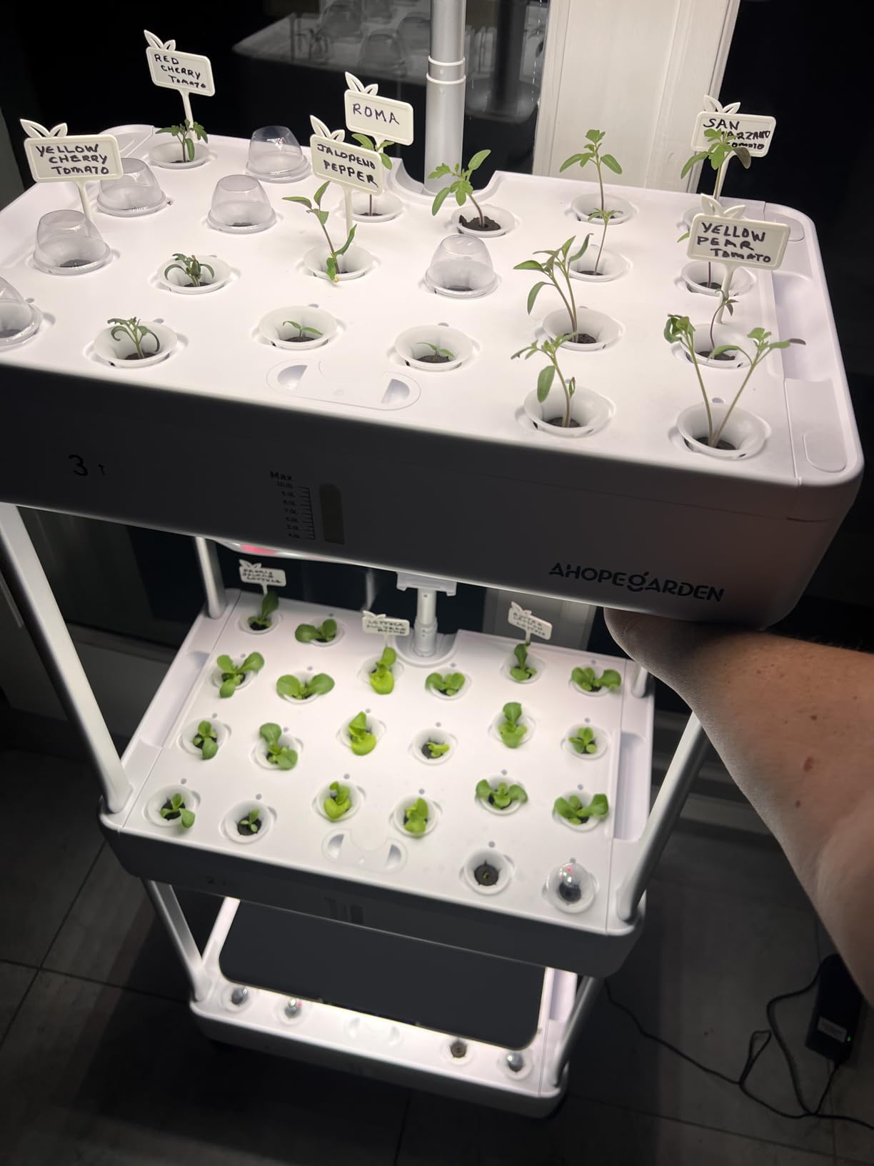 Ahopegarden Indoor Garden Hydroponics Growing System Kit: 66 Pods Plant Herb Garden Germination Kit with LED Grow Light, 30L Large Capacity Kitchen Hydroponics Planter Grower for Vegetable Fruit customer photo 2