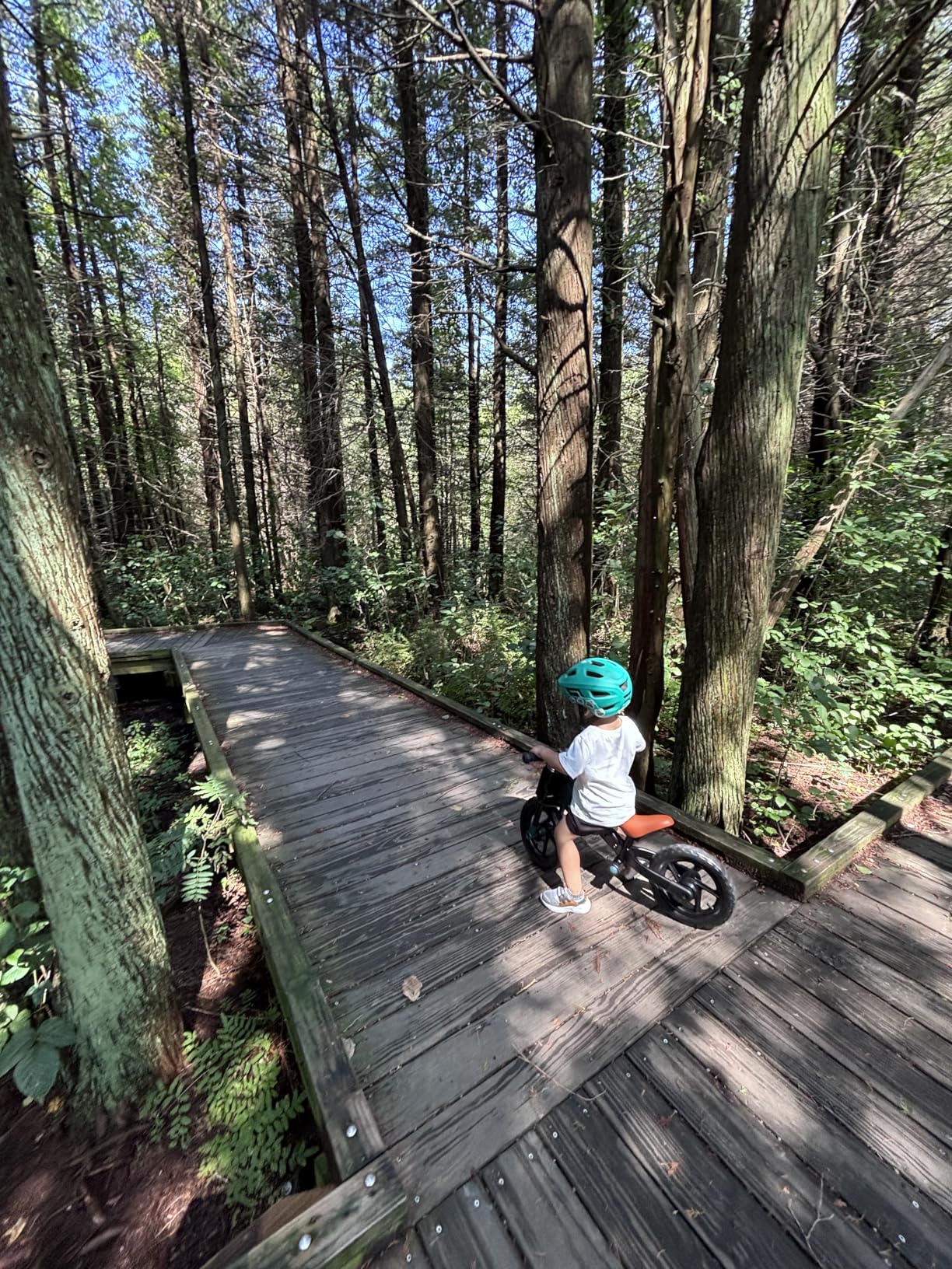 Toddler Balance Bike 2 Year Old, Kids Balance Bike Ages 2-5 | Tool-Free Adjustment, Limited Steering, Footrest, Custom Name Plate with Stickers customer photo 1