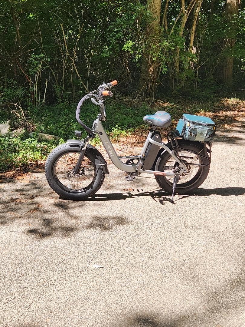 Electric Bike for Adults with Peak 1500W Motor, 48V 20Ah Removable Battery Fast Ebike, Max 70Miles, 20