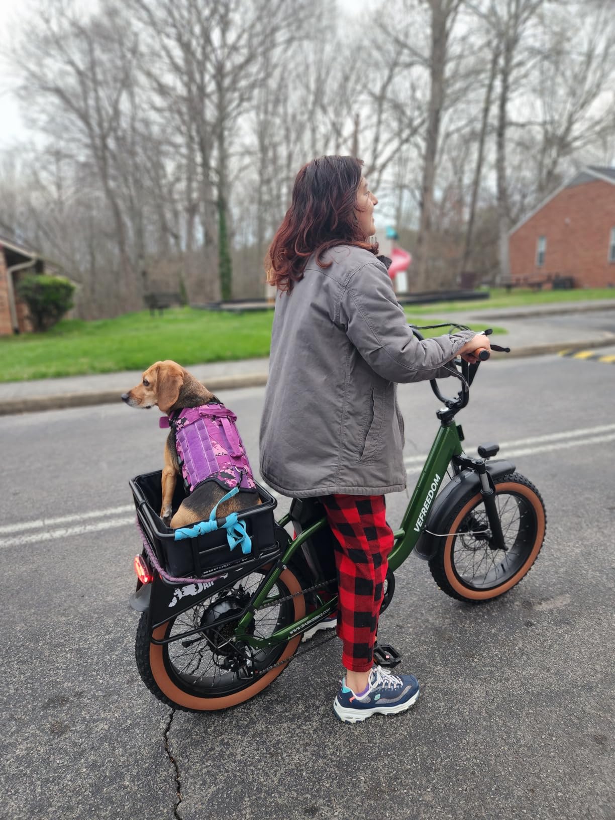 Electric Bike for Adults with Peak 1500W Motor, 48V 20Ah Removable Battery Fast Ebike, Max 70Miles, 20