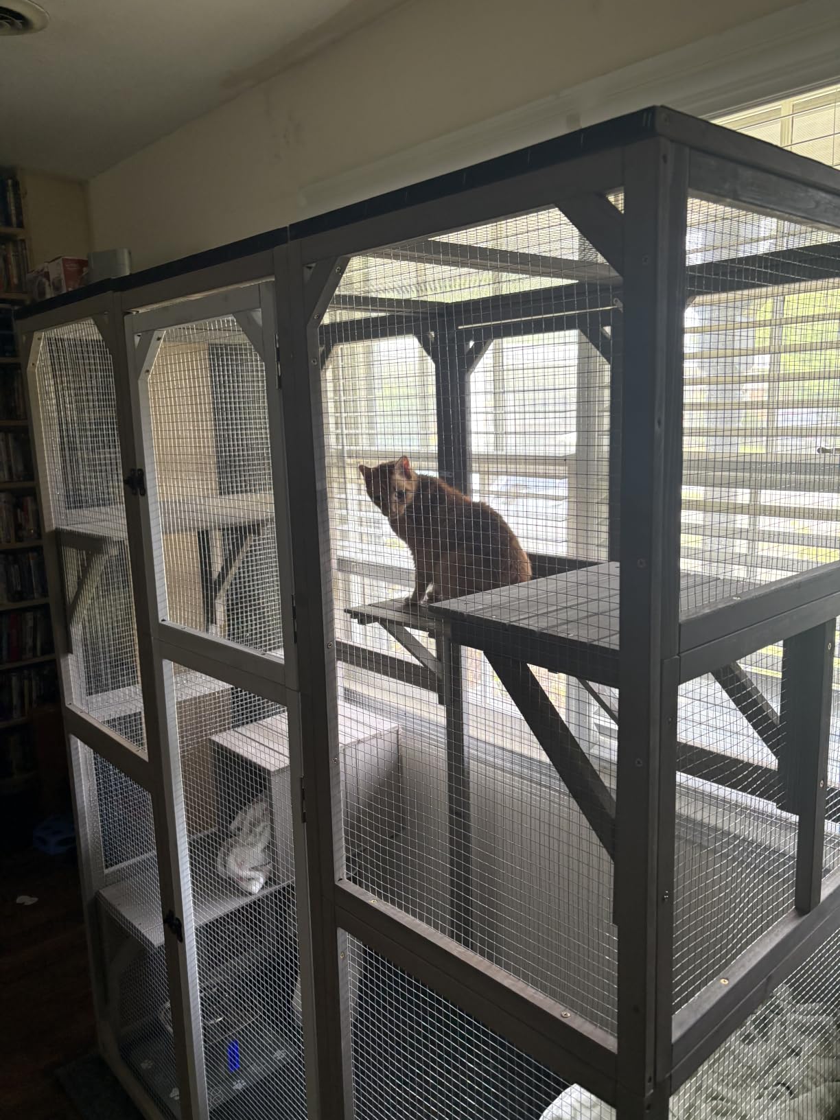 Ketive Catio Outdoor Cat Enclosure Large Window Cat House Walk in Kitty Cage with Multi-Level Platforms, Waterproof Roof for Multiple Cats (59
