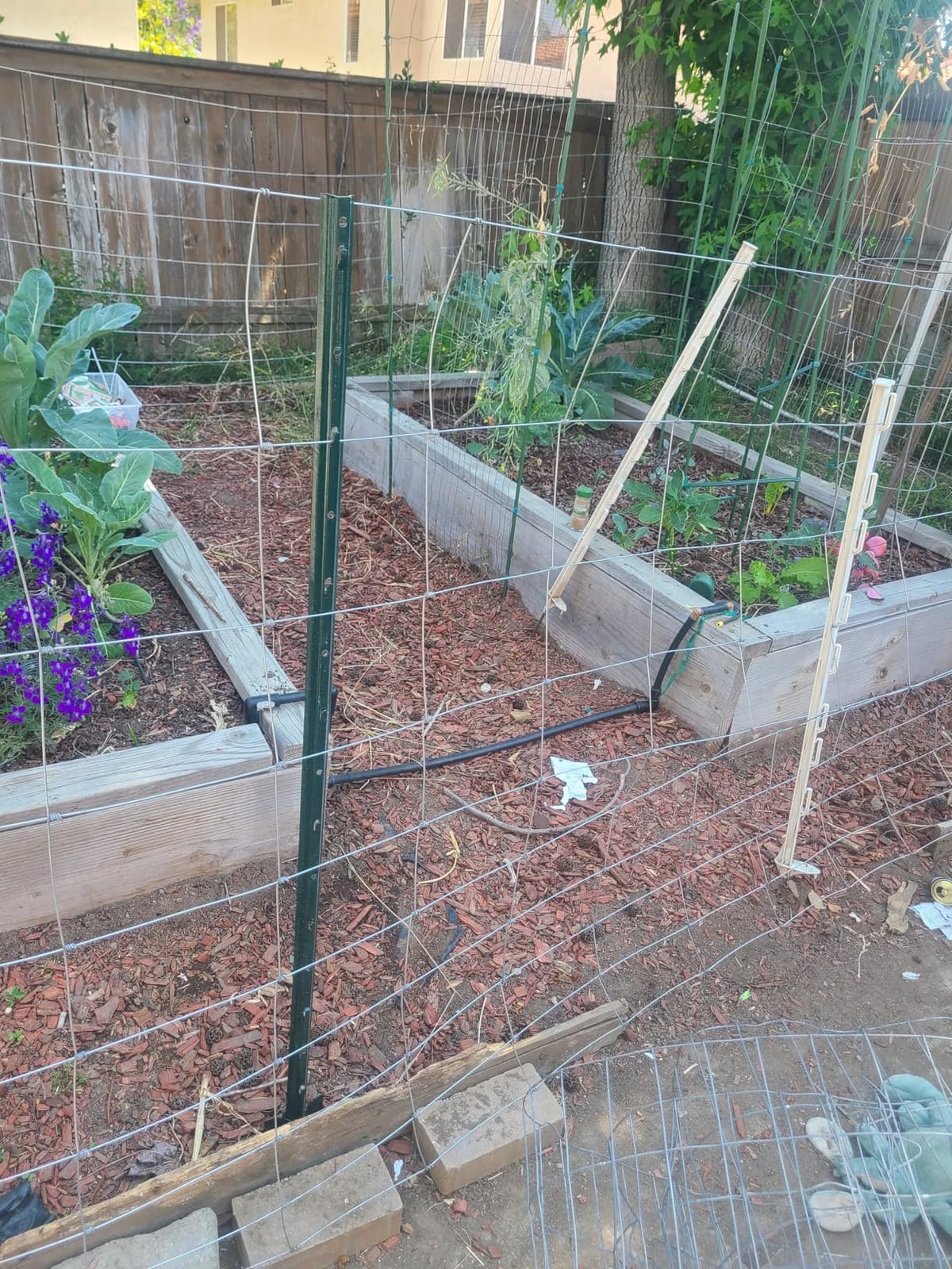 Farm Fence, 4ft x 164ft Galvanized Wire Fencing, Goat, Sheep & Deer, Durable Chain Link Fence, Heavy Zinc Coating Wire Used to Hog Goat Fencing for Yard Garden and Field customer photo 1