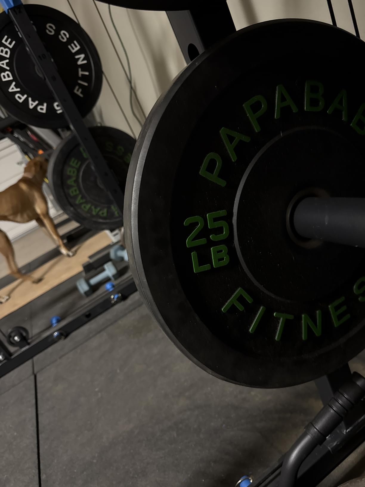 Papababe Weight Plates, 2-Inch Weights Plates Set, Floor Protective Rubber Weight Plates, 10-600lbs Bumper Plates for Barbell Strength Training & Weightlifting (Single/Pair/Full Set) customer photo 1