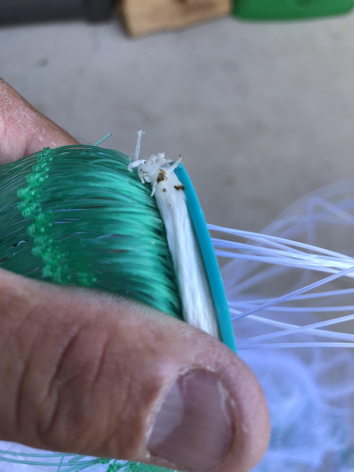 Cast Net for Bait Fishing, Chain Bottom customer photo 2
