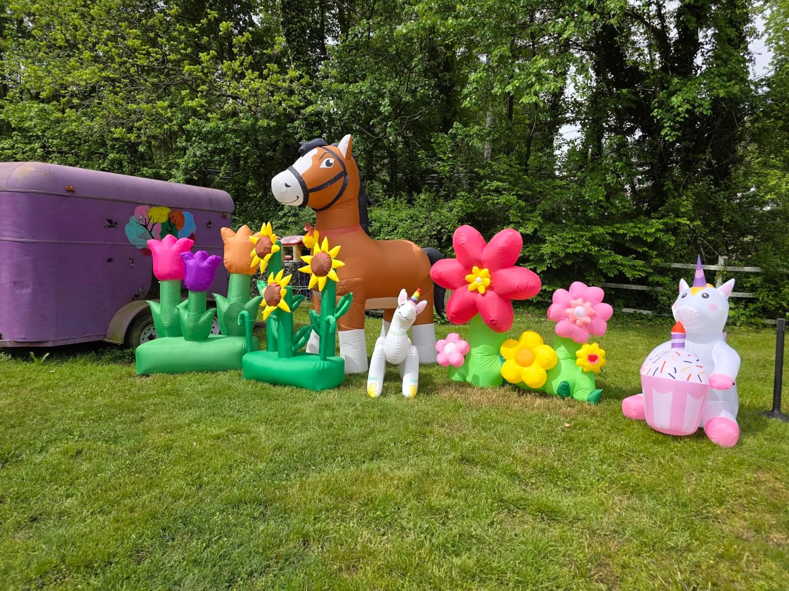 KOOY 6FT Spring Easter Inflatable Flowers Outdoor Decoration Multi-Colored Blow up Flowers, Built-in LED Lights customer photo 1