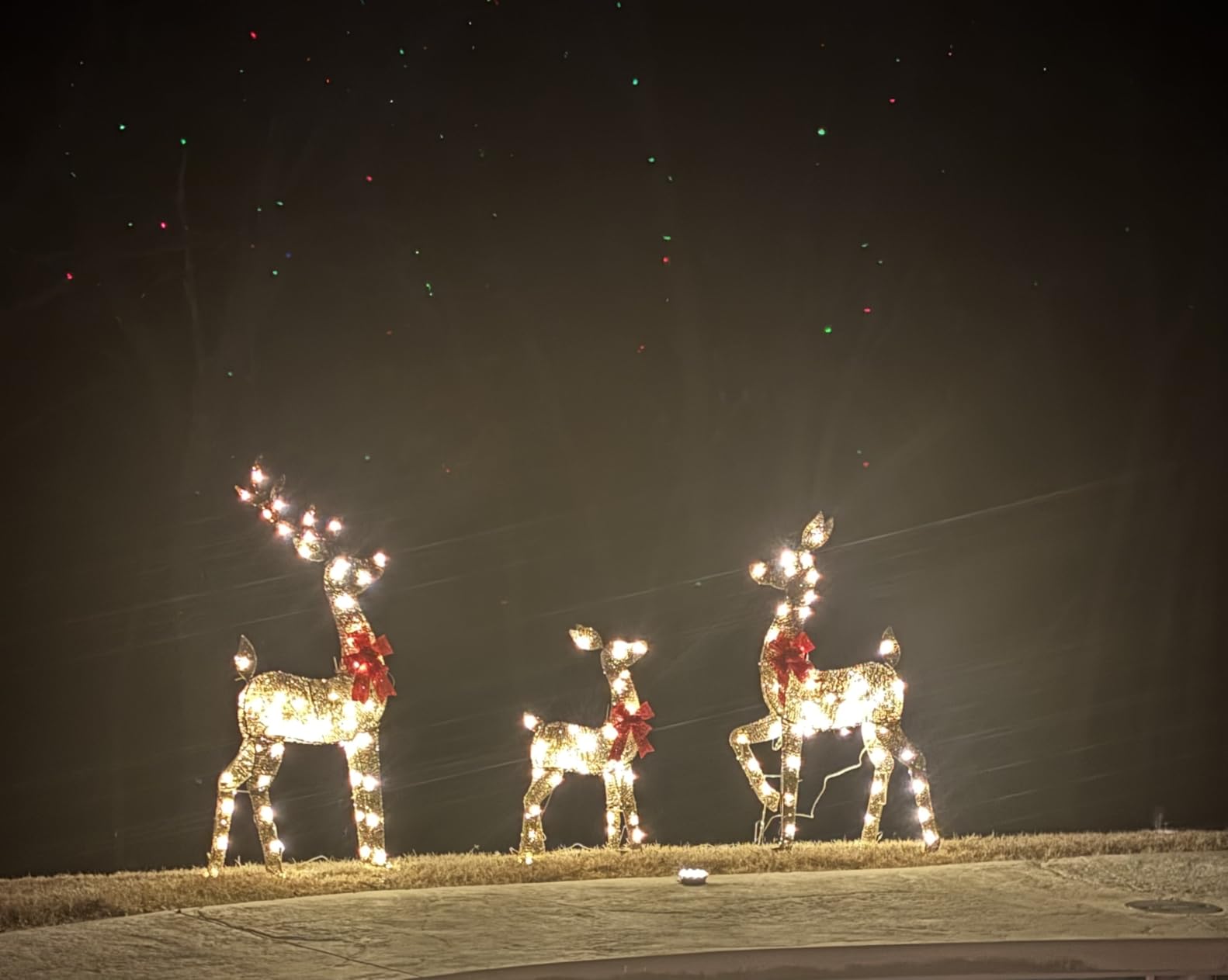 3-Piece 2D Lighted Christmas Deer Family Set - HOYECHI Large Outdoor Yard Reindeer Holiday Decoration with 145 LED Lights, Stakes, Zip Ties - Gold customer photo 1