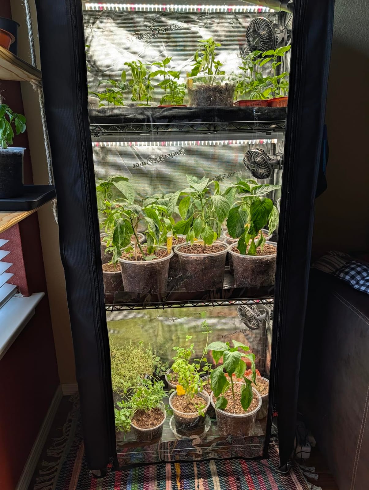 Spider Farmer 4 Tier Plant Stand with Grow Lights Indoor Greenhouse Shelf | 120W Full Spectrum LED Grow Lights, Grow Tent Cover with Visual Curtain and Blackout Curtain, Waterproof Trays, Movable Wheel customer photo 1