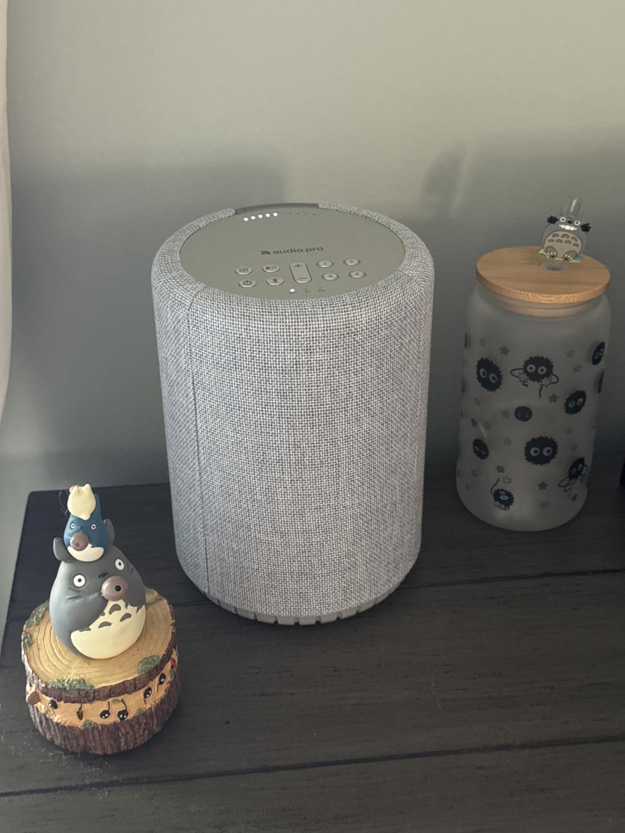 Audio Pro A10 MKII Wireless Multiroom Speaker, WiiM Edition | High Fidelity, Bluetooth, WiFi | Compatible with AirPlay 2, Google Cast, Siri, WiiM Home App, Stream Spotify, Tidal & More, Dark Gray customer photo 1