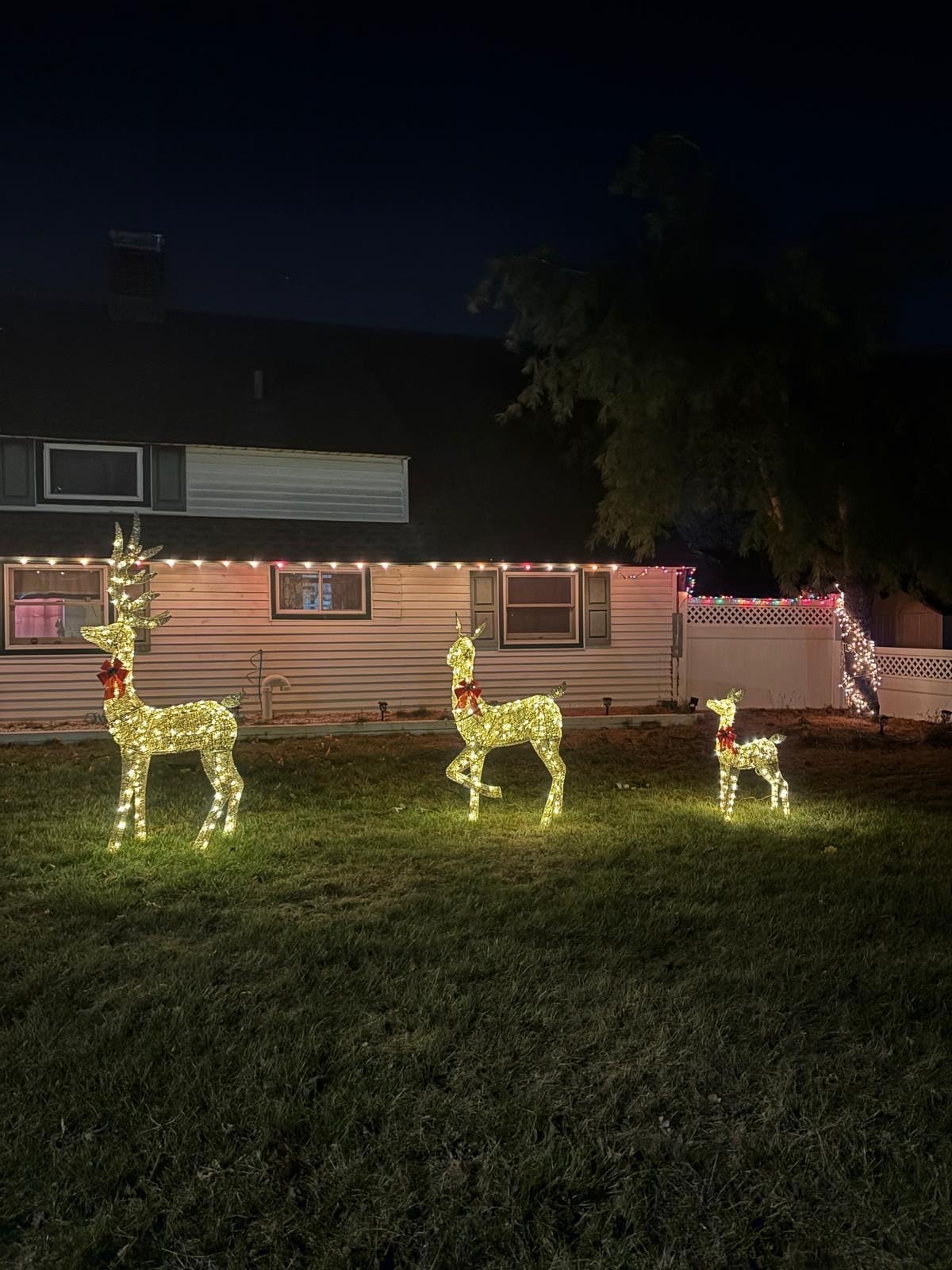 Best Choice Products 6.5ft 3-Piece Large Lighted Christmas Deer Family Set, Outdoor Yard Decoration with 385 LED Lights, Stakes, Zip Ties - Gold customer photo 1