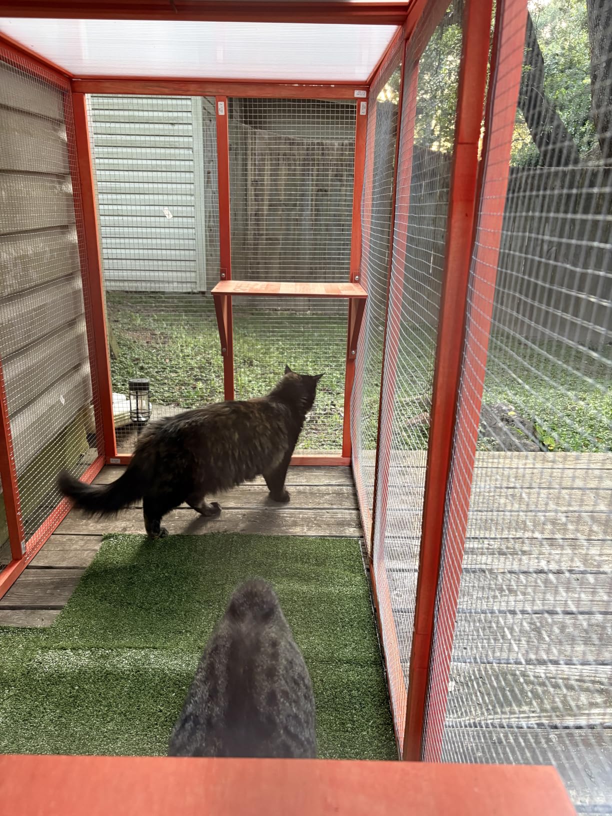 Nyeekoy Catio Outdoor Cat Enclosure, 71
