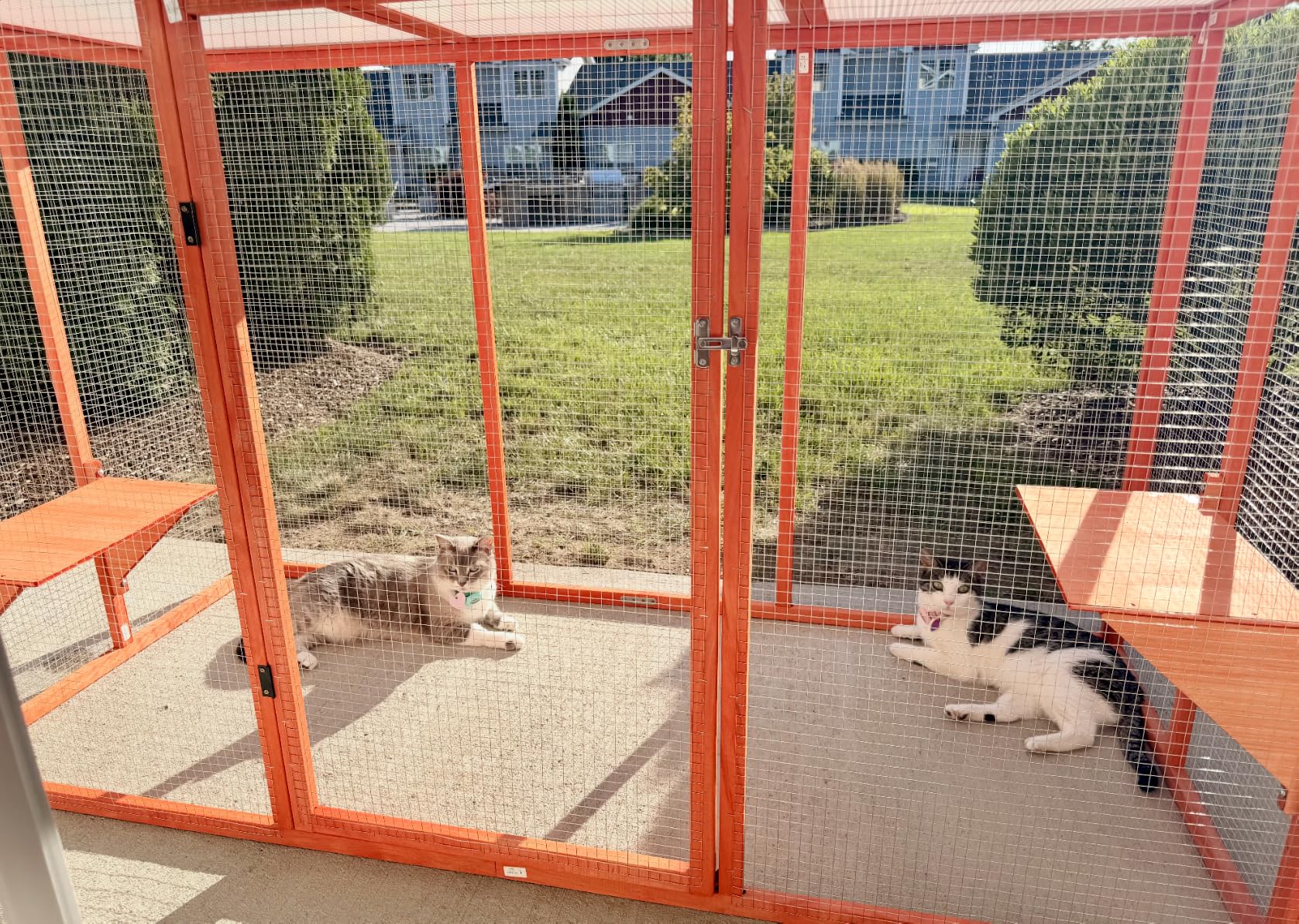 Nyeekoy Catio Outdoor Cat Enclosure, 71
