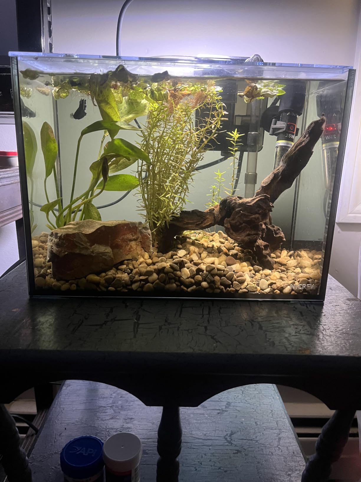 NICREW 2.5 Gallon Nano Nature Aquarium Kit, Ultra-Clear Rimless Desktop Fish Tank with Light and Filter, Perfect for Small Fish, Shrimp, or Betta, Basic Version, Black customer photo 1