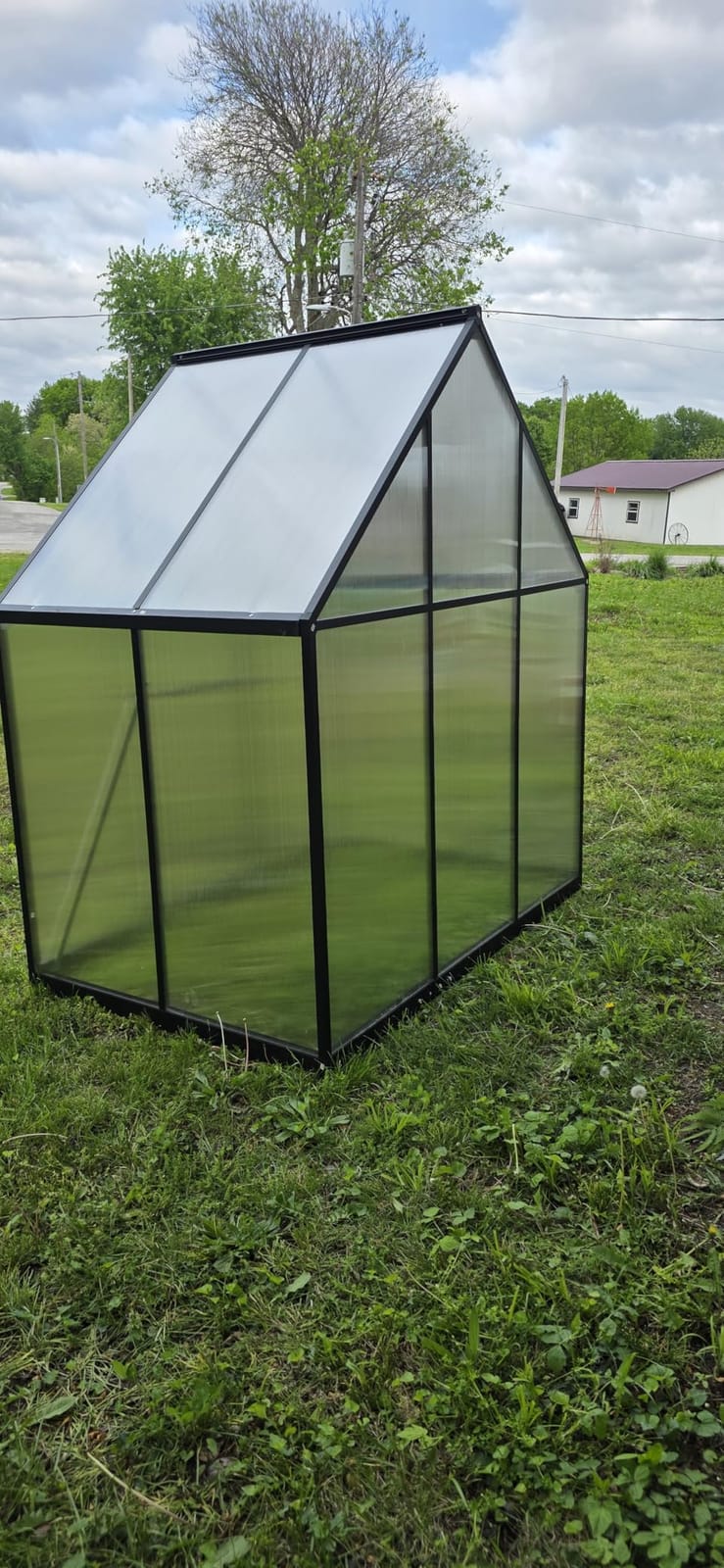 8X10FT Enhanced Aluminum Walk-in Greenhouse for Outdoors with Thermometer | Easy Assembly, UV-Resistant Panel, Rain Gutter, Lockable Hinged Door, Built-in Reinforcement, For Vegetable, Flower and Herb customer photo 1