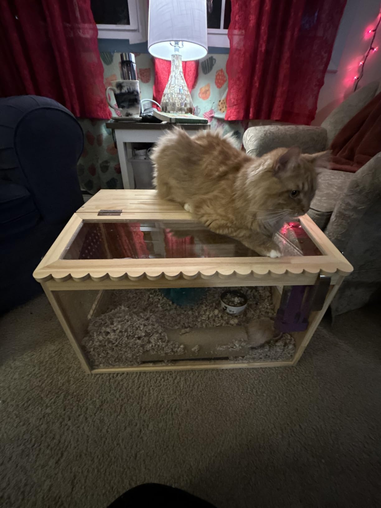 Wooden Hamster Cage, 32