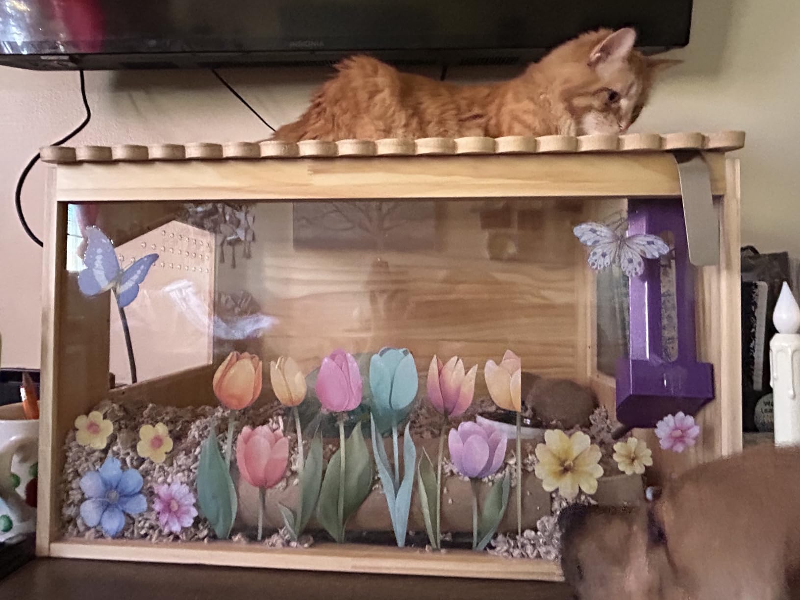 Wooden Hamster Cage, 32