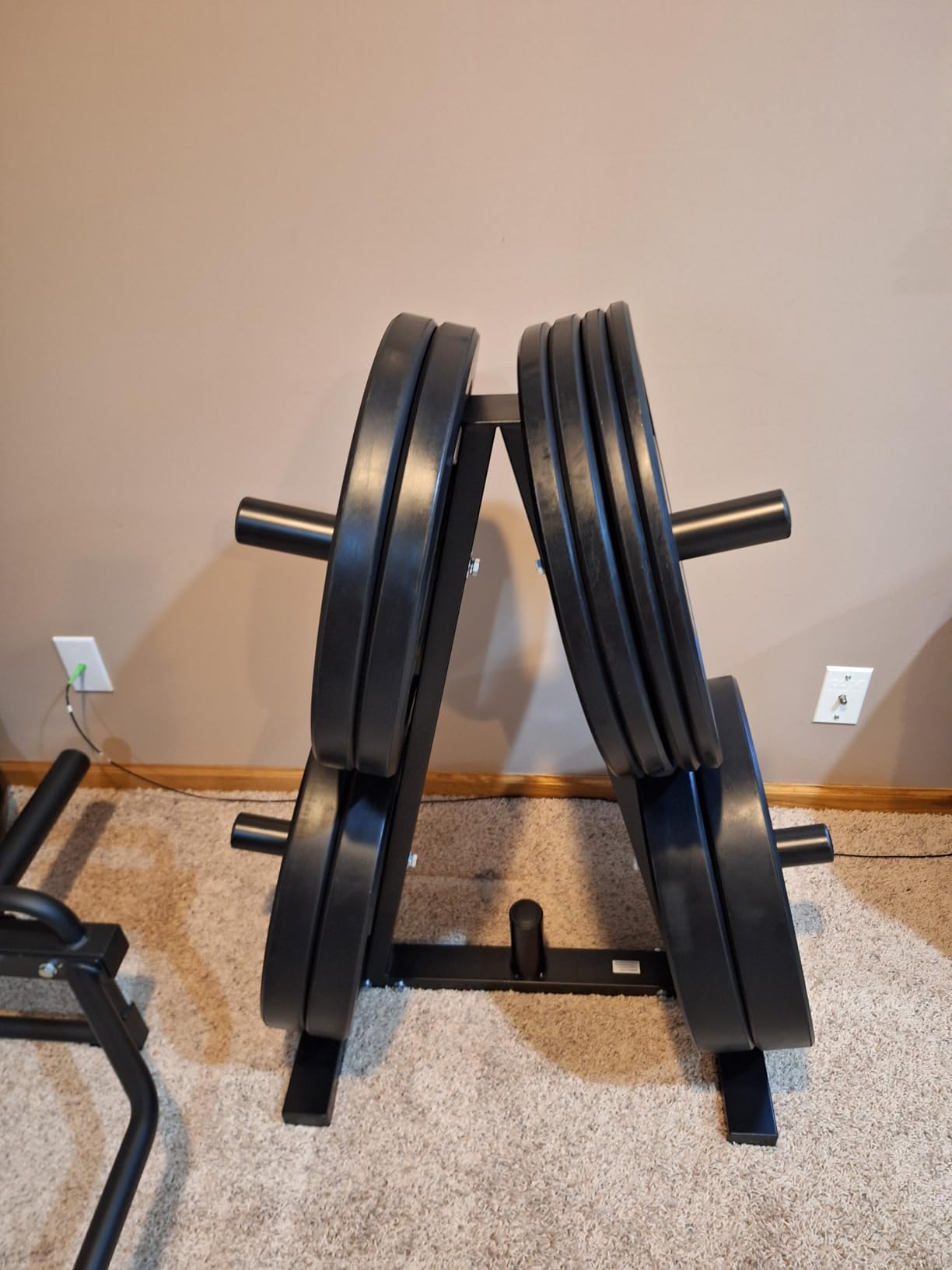 Amazon Basics Weight Plate Tree Rack, Durable Steel, Space-Saving Vertical Design for Home Gym customer photo 1
