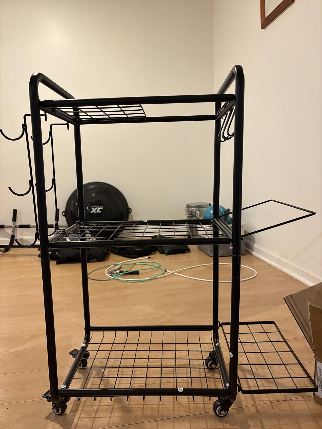 Multi-Functional Home Gym Storage Rack with Wheels and Hooks | Space Saving, Easy to Assemble, All-in-One, Gym Equipment Storage for Dumbbells Kettlebells Yoga Mat customer photo 1