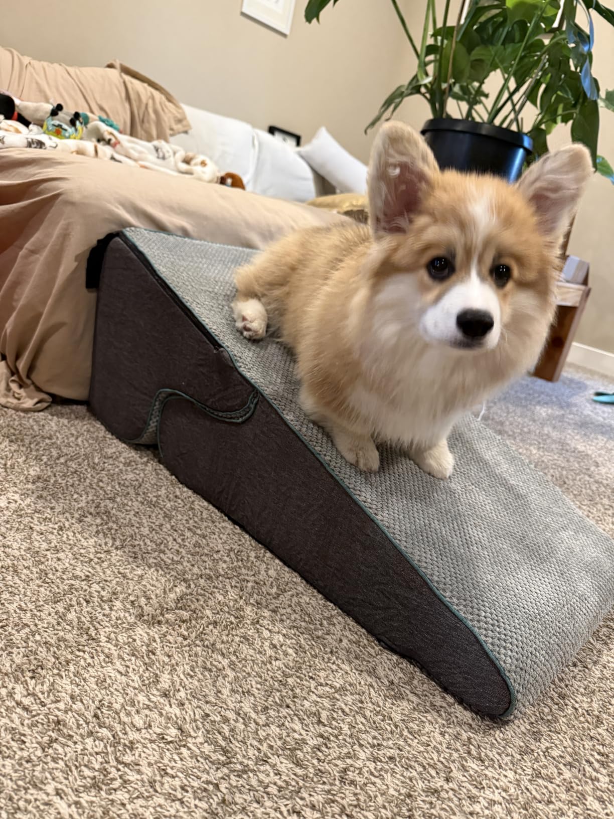 Gardner Pet Dog Stairs for Small Dogs 16.5