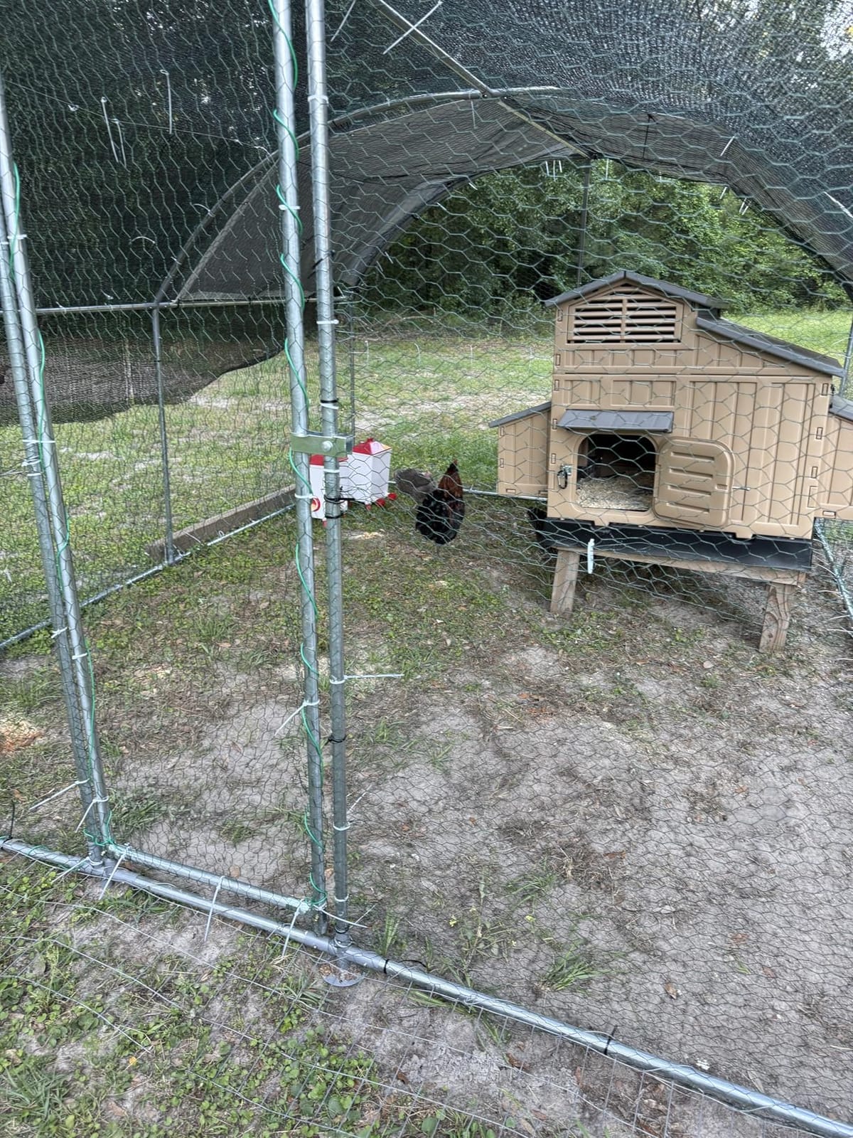 NUGRIART Large Metal Chicken Coop, Outdoor cage Run with Waterproof and Anti-UV Cover, Dome Roof Walk-in Poultry Cage Rabbit Duck House for Outside, Backyard and Farm customer photo 1
