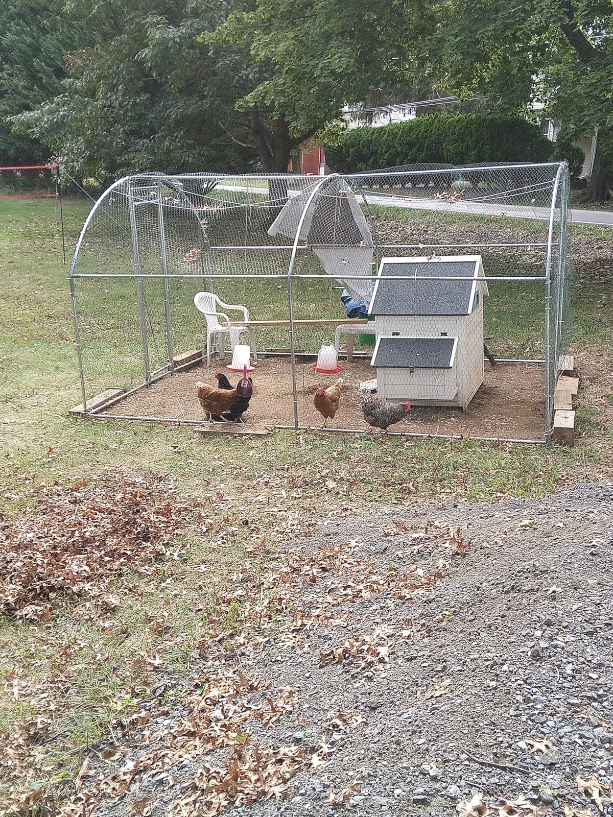 NUGRIART Large Metal Chicken Coop, Outdoor cage Run with Waterproof and Anti-UV Cover, Dome Roof Walk-in Poultry Cage Rabbit Duck House for Outside, Backyard and Farm customer photo 2