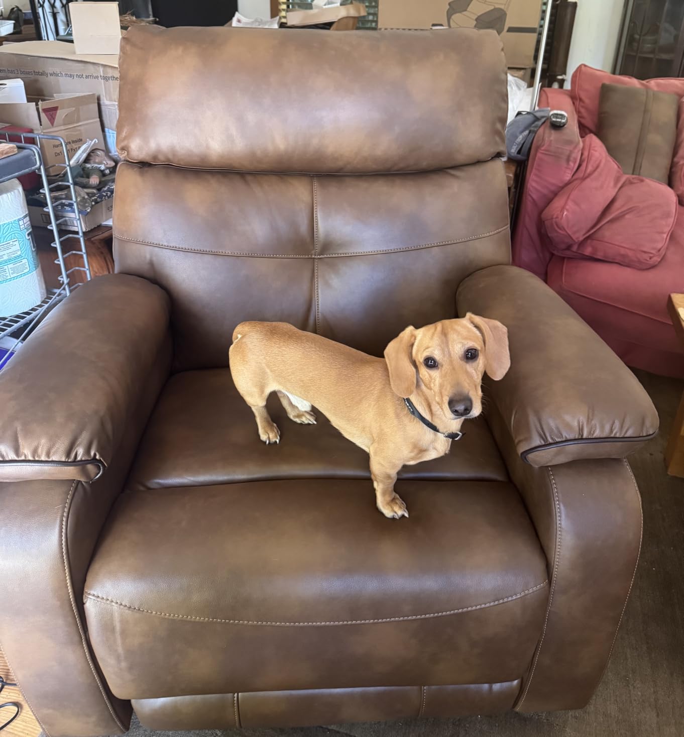 Dual Motor Power Lift Recliner Chair for Adult & Elderly, Leather, Beige | Infinite Position Lay Flat Lift Chair with Heat & Massage, Cup Holder, Lumbar Pillow, Wireless Charger, USB Ports, Leather customer photo 1