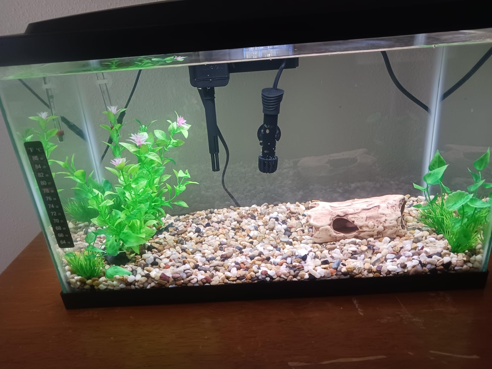 Aqueon Aquarium Starter Kit with Smart Clean Filtration and LED Lighting, Freshwater and Saltwater Fish, Perfect for Tetras, Guppies, Platies, 10-Gallon customer photo 2