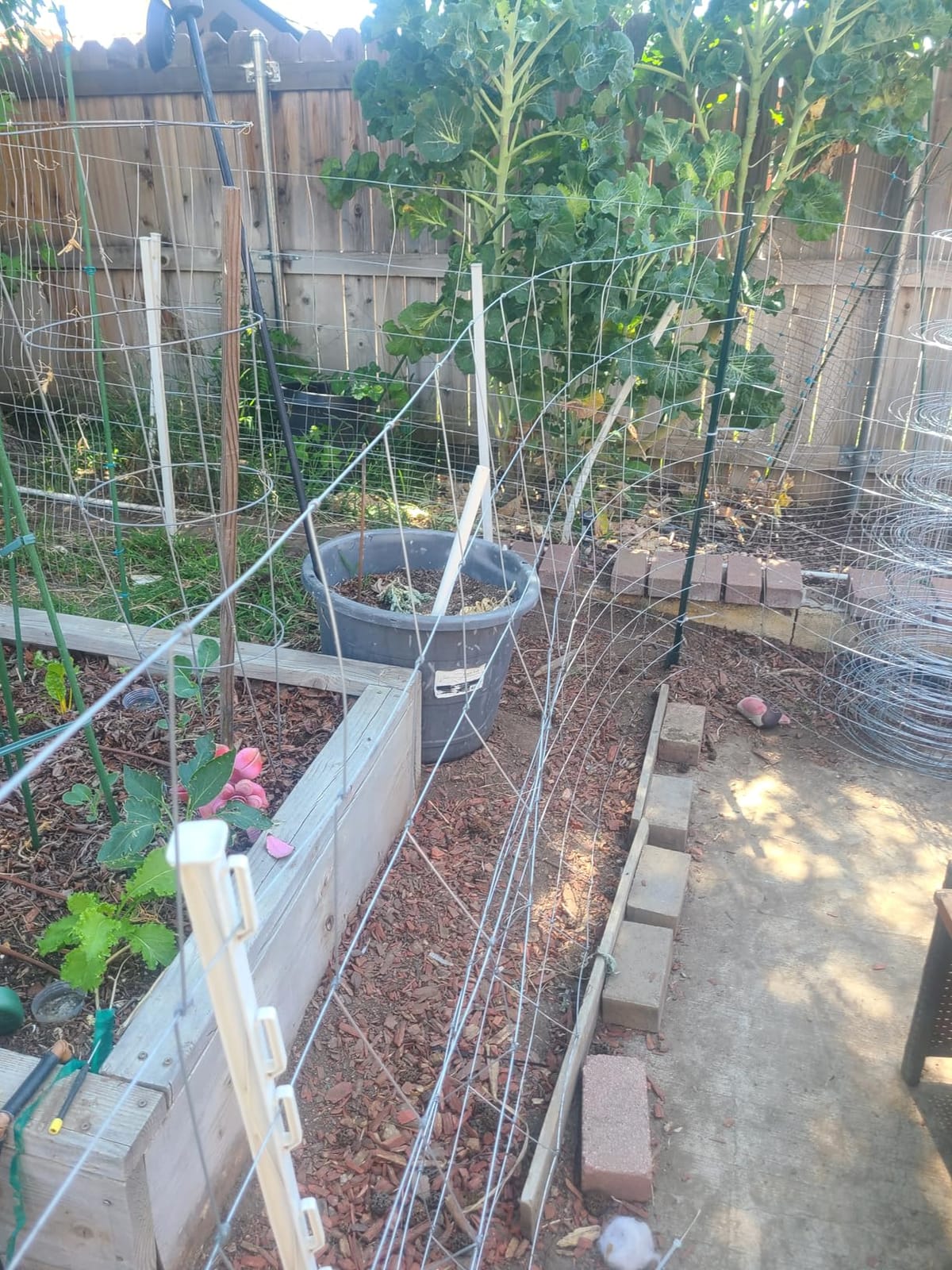 Farm Fence 6ft x 100ft Heavy Zinc Coating Field Wire Fencing, Galvanized Livestock Deer,Goat Fence,Hog Wire Fencing Used to Yard and Garden customer photo 2
