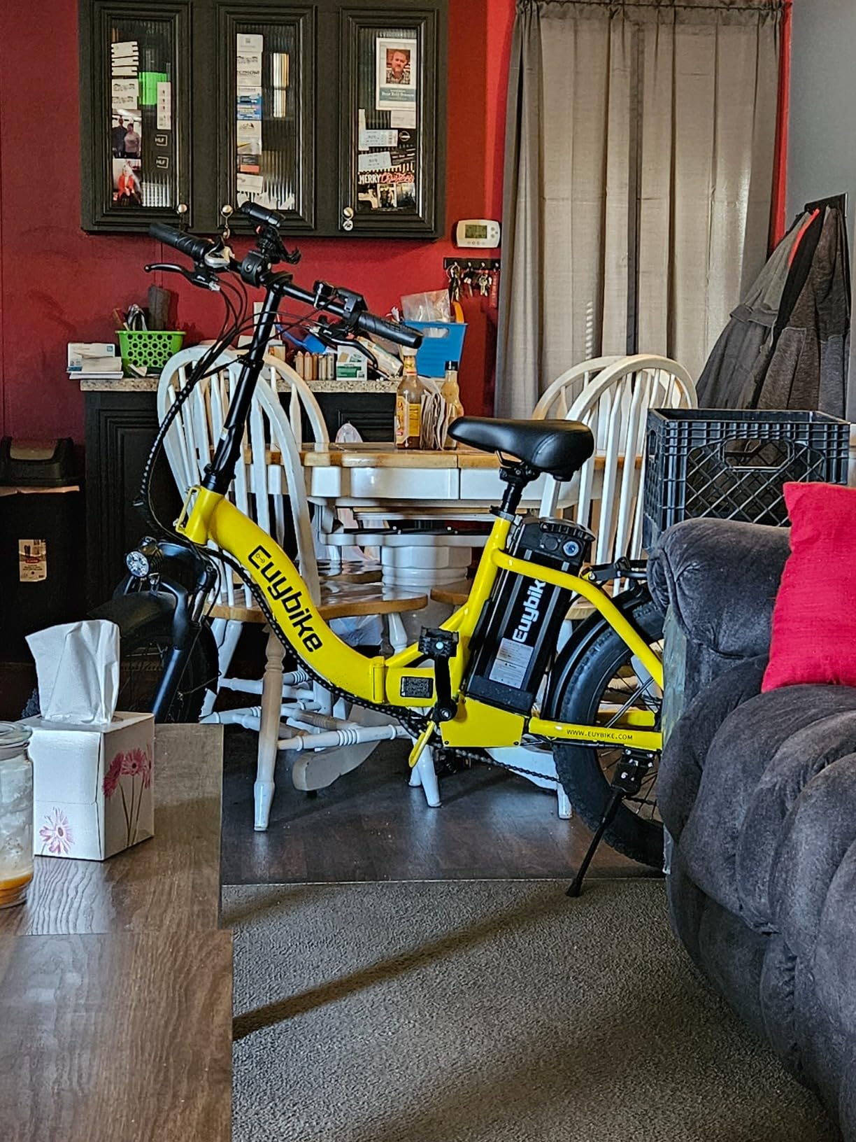 EUYBIKE Folding Electric Bike for Adults with Peak 1000W Motor, 48V 20AH Battery up to 80 Miles, 20