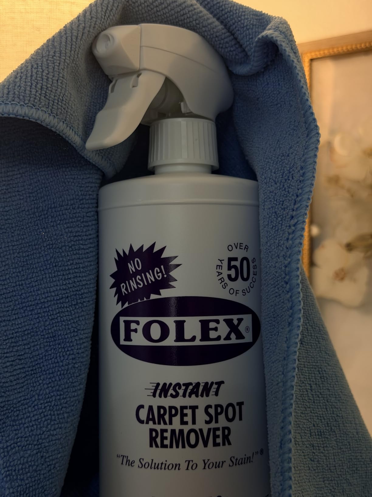 FOLEX Instant Carpet Spot Remover 32 oz - Powerful Stain Remover for Carpets, Upholstery & Rugs - Eliminates Pet Stains, Grease, Red Wine, Food, Makeup & More - With Reusable Cleaning Cloth - 1 Pack customer photo 2