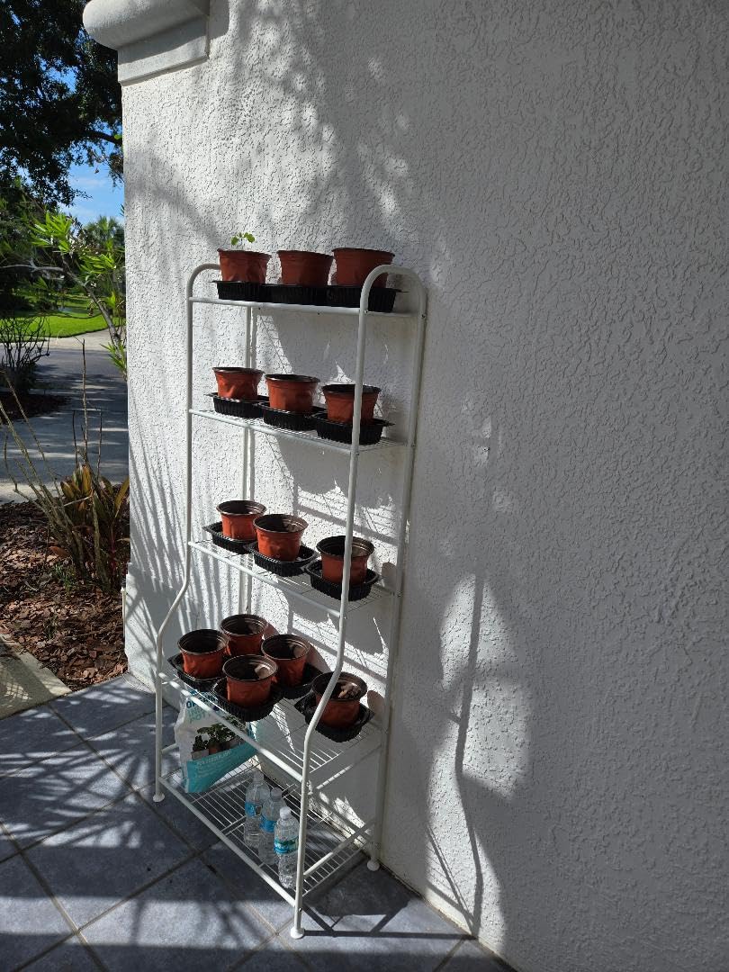 5-Tier Metal Plant Stand - Heavy Duty Indoor Outdoor Flower Shelf for Multiple Pots, 65
