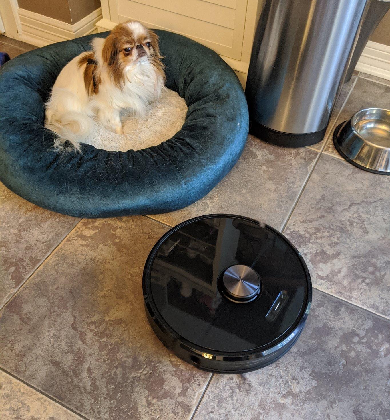roborock Q7 L5 Robot Vacuum and Mop Combo, 8,000Pa Suction | Upgraded from Q5 Pro, Dual Anti-Tangle System, LiDAR Navigation, Multi-Level Mapping, Self-Charging Robotic Vacuum, Black customer photo 1