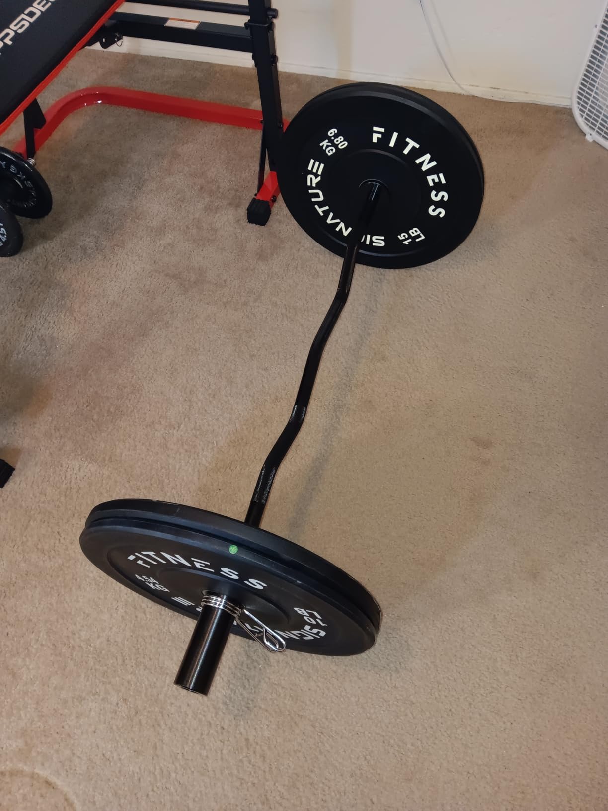 TEEMOO Olympic EZ Curl Barbell Bar, 47