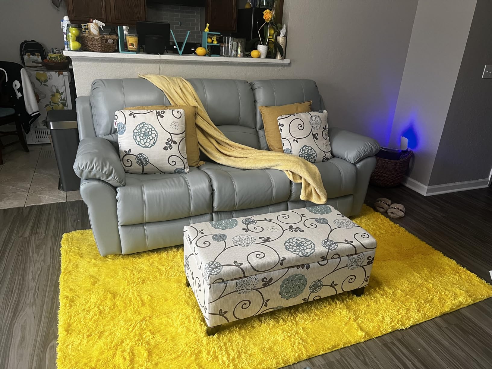 Christopher Knight Home Nesbit Living Room Ottoman with Storage, Entryway Fabric Upholstered Storage Ottoman Bench, Rectangular Sofa Foot Stool, Bedroom End of Bed Bench, Light Blue customer photo 1