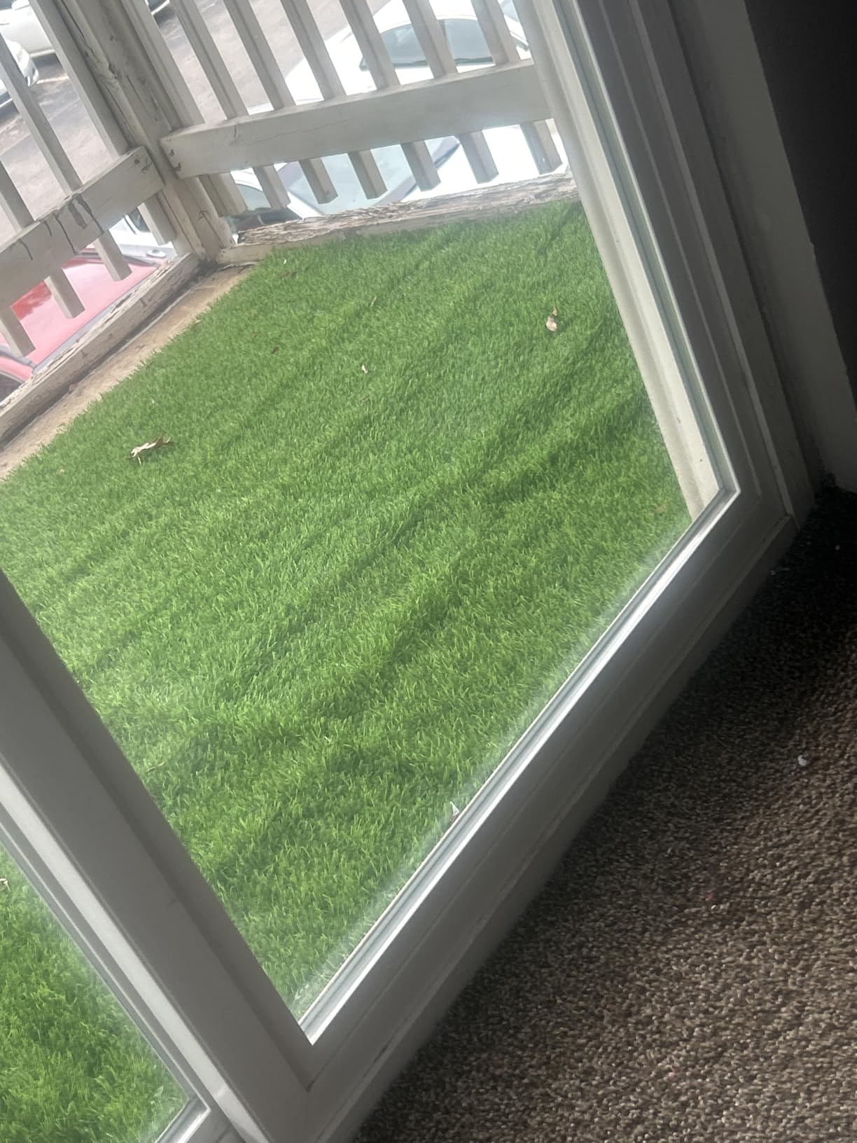 Artificial Grass Fake Turf Grass Outdoor Indoor with Drainage Holes, 3x5FT | Pet-Friendly Dog Grass Pad, Fast-Drain, Easy to Clean, Perfect for Balcony Patio Backyard Garden Wedding Christmas Decoration customer photo 2