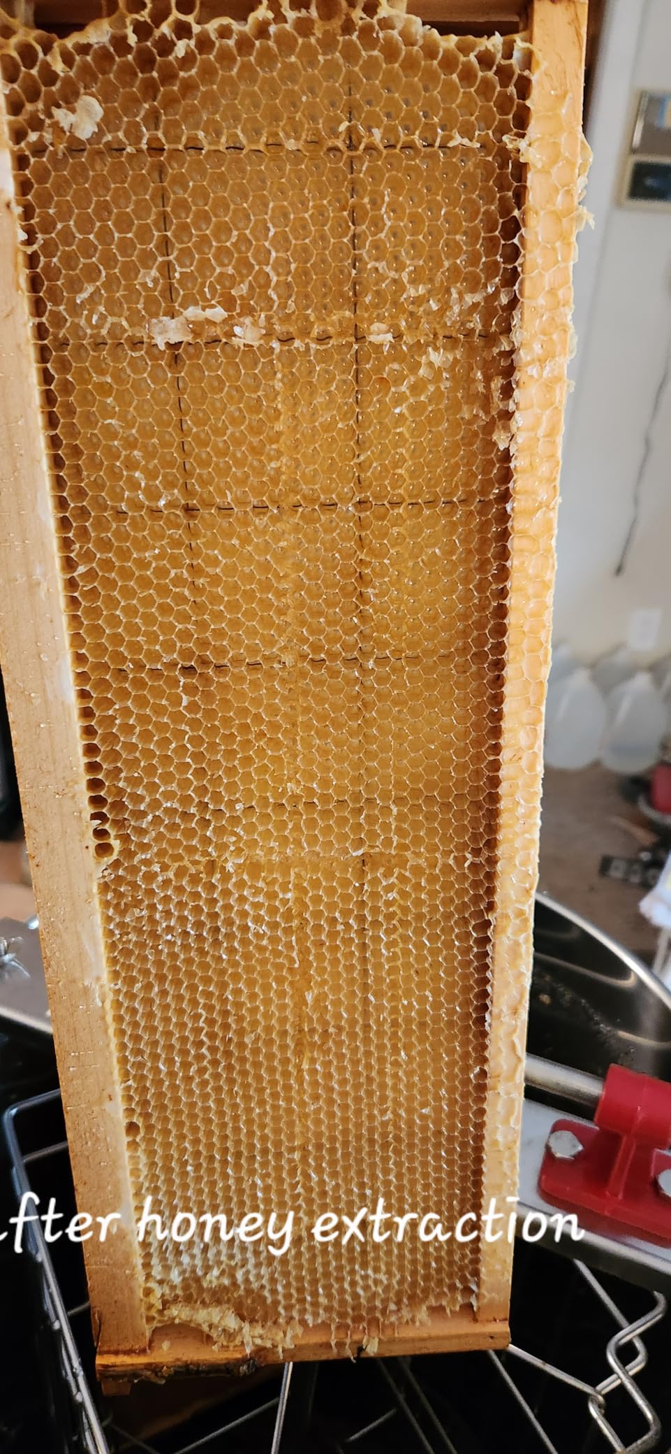 VEVOR Honey Extractor, 4/8 Frame Manual Honey Extractor with Transparent Lid, Stainless Steel Honeycomb Drum Spinner with Height Adjustable Stand, Honeycomb Extraction Equipment for Beekeeping customer photo 1