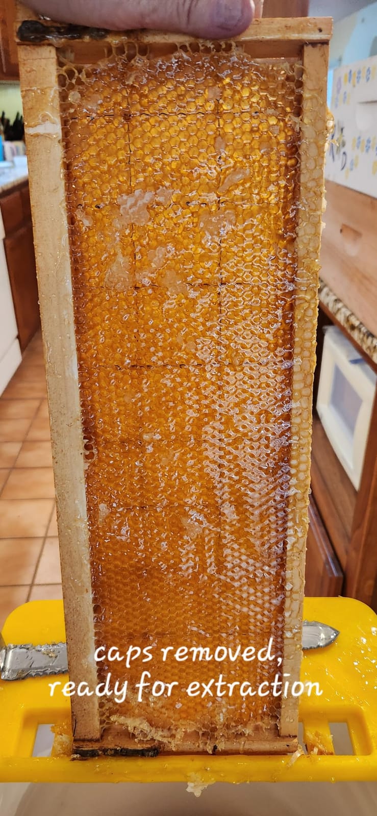 VEVOR Honey Extractor, 4/8 Frame Manual Honey Extractor with Transparent Lid, Stainless Steel Honeycomb Drum Spinner with Height Adjustable Stand, Honeycomb Extraction Equipment for Beekeeping customer photo 2