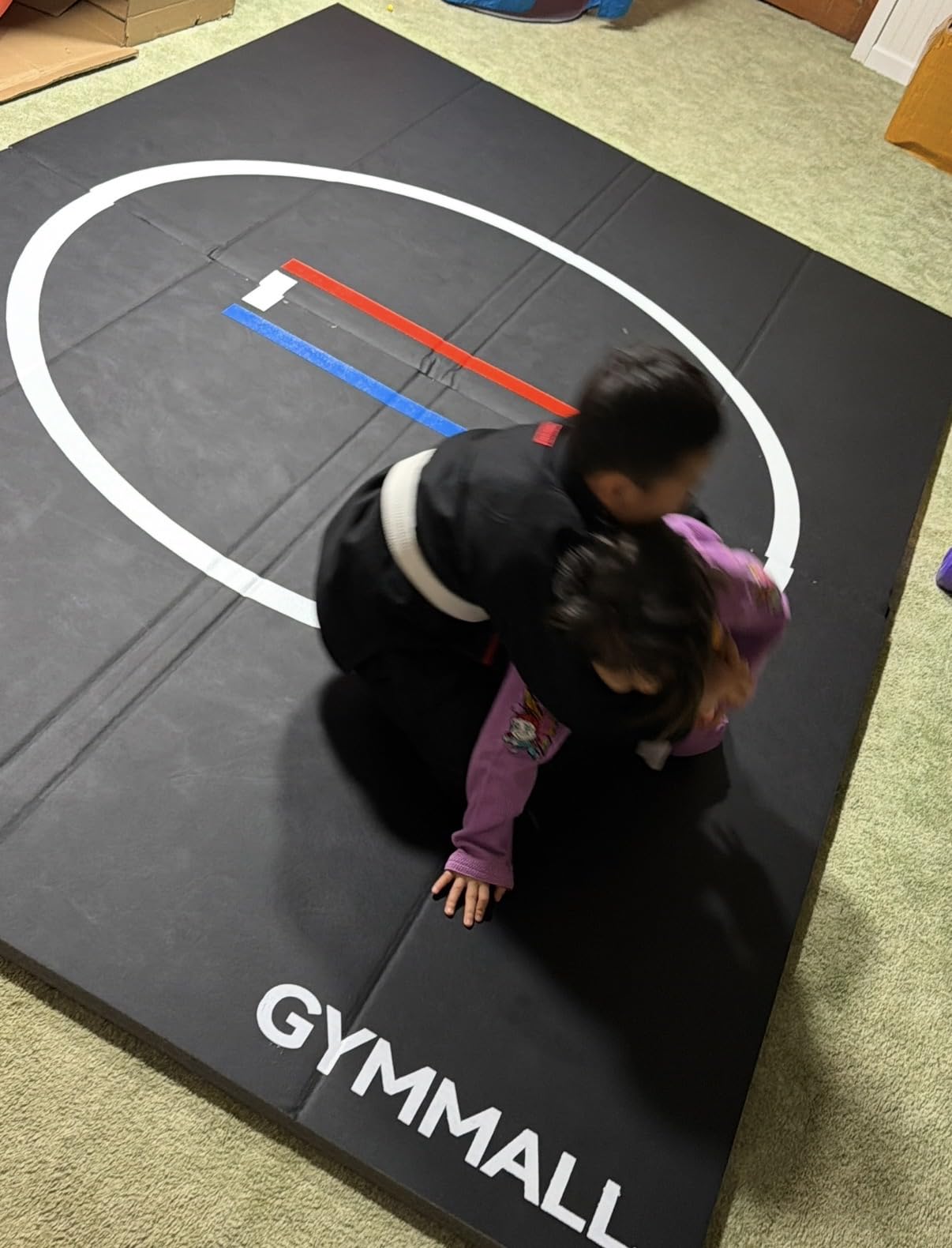 Wrestling Mat 10'x10'/8'x8'/6.6'x10' for Home Outdoor Indoor, 1.2