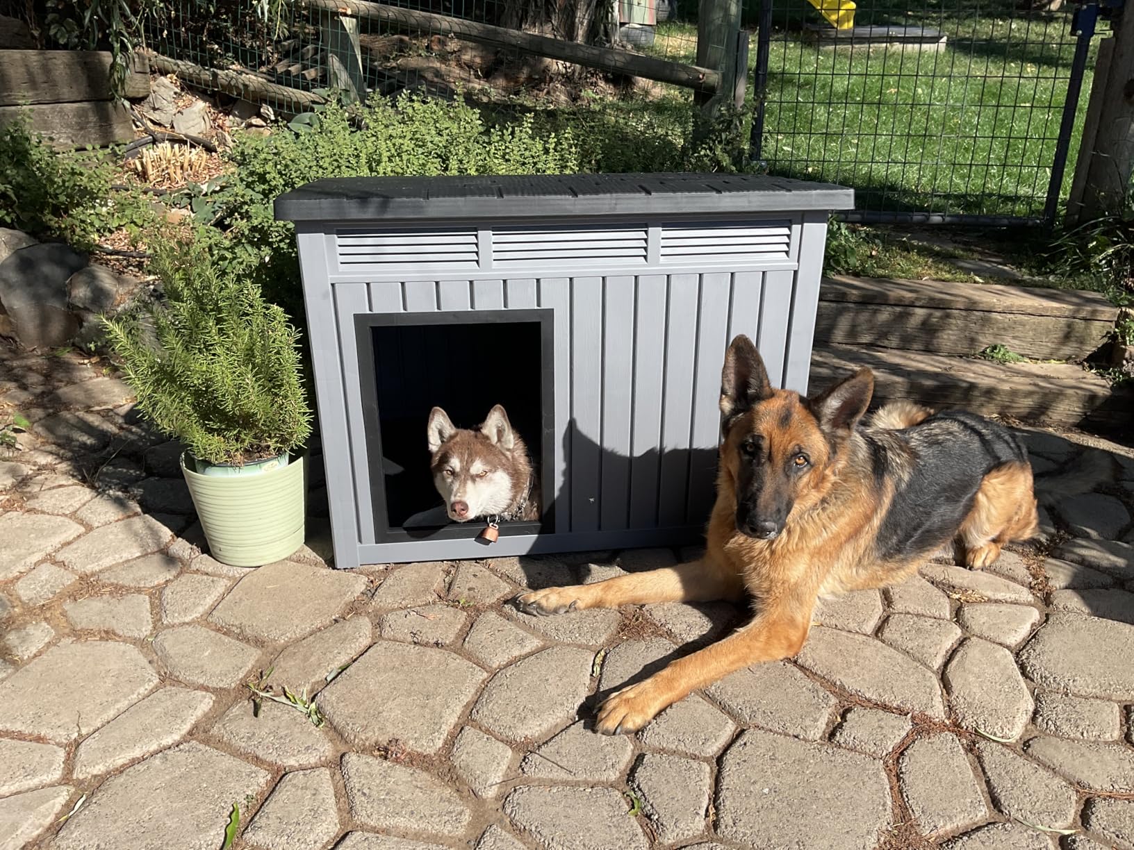 Fancyango Large Dog House for Indoor & Outdoor - Weatherproof & Removable Roof, Fits Small to Large Dogs (42.8