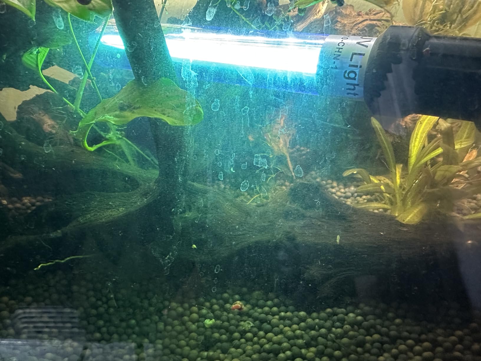 20W UV Submersible Sterilizer Light for Aquarium, Pond, Cold Plunge, Pool, Hot Tub customer photo 2