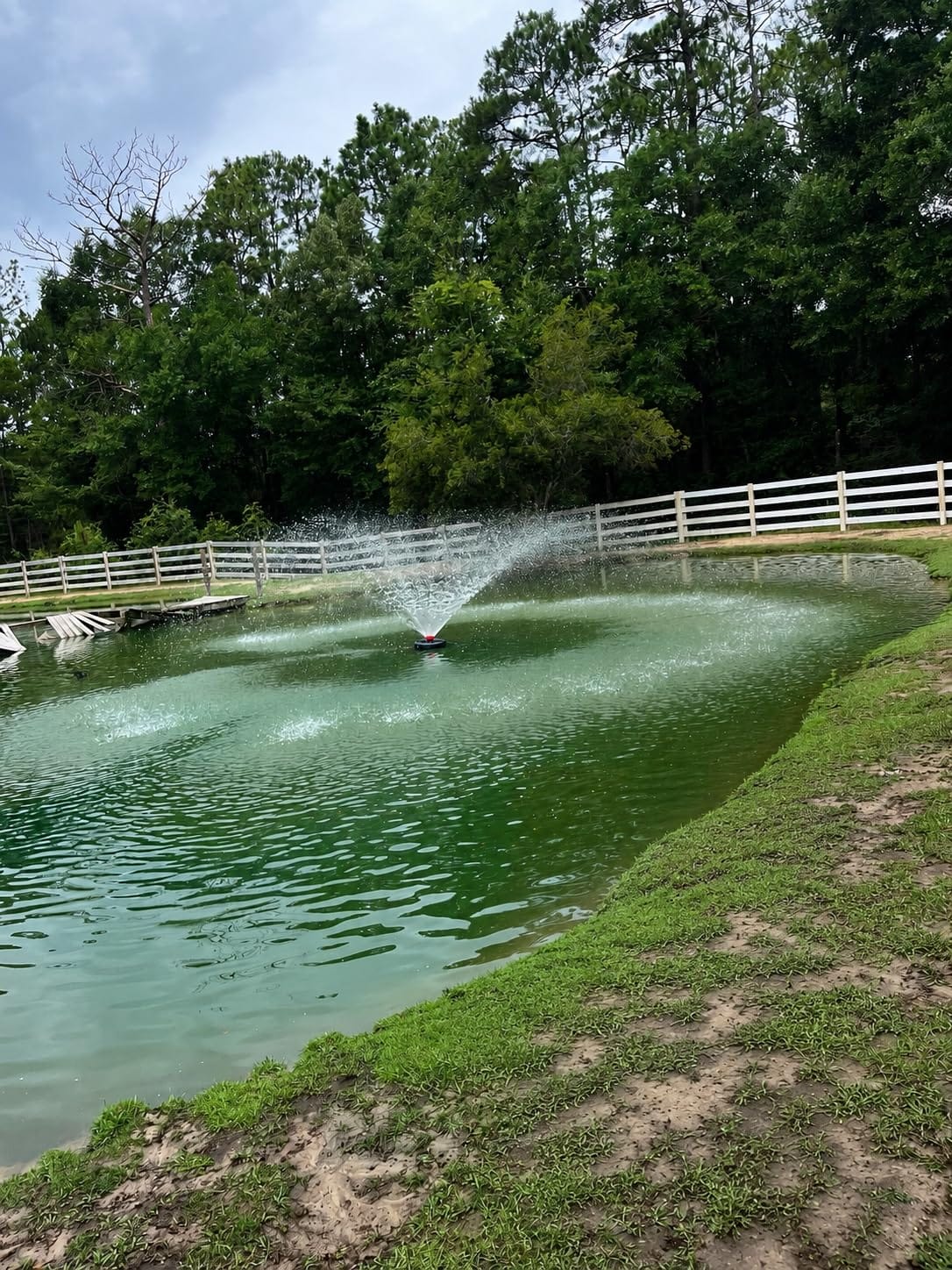 Pond Fountain Aerator, 1HP 110V 750W 15000 GPH Floating Fountain Pump with 100 FT Power Cord, 2 x 100 FT Rope, Timer, Fully Automatic Powerful Aerating Fountain for Larger Ponds, Lakes, Stainless Steel customer photo 2
