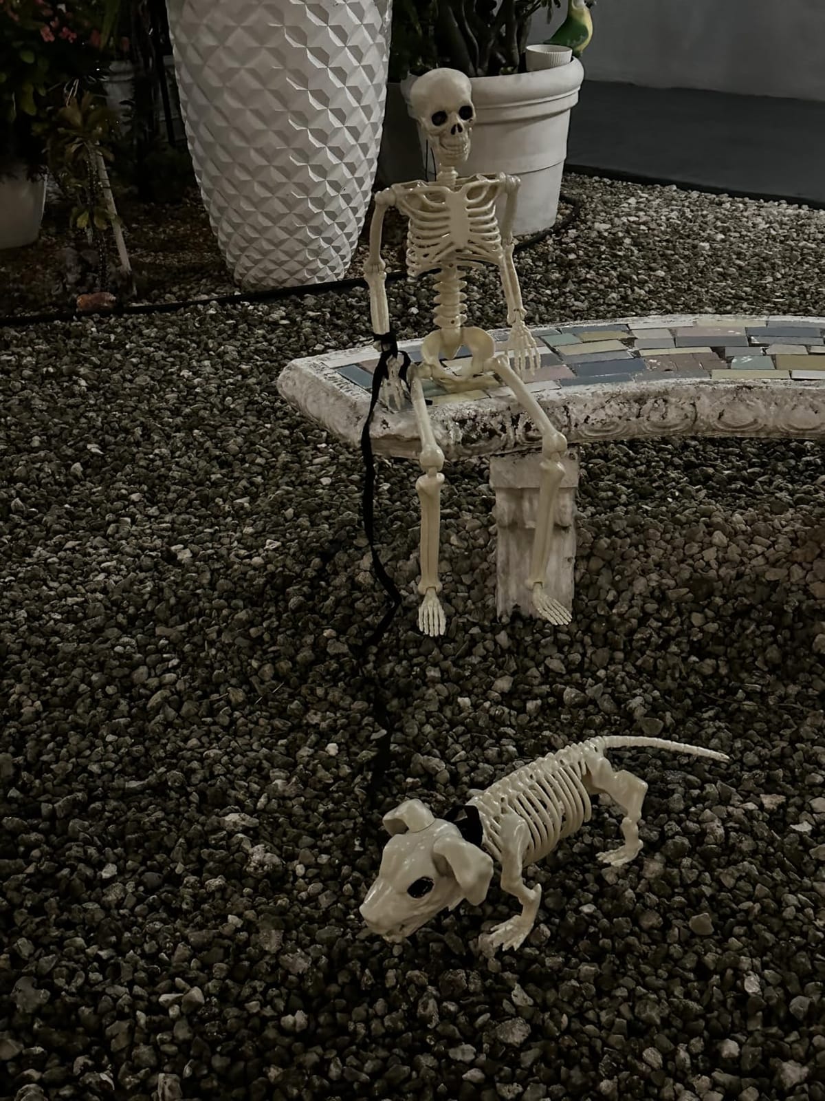 Lighted Human & Dog Skeleton Halloween Decorations Outdoor/Indoor - 36 Inch Realistic Full Body Movable Posable Skeleton Spooky Halloween Decor for Garden Yard Porch Party Haunted Graveyard customer photo 1