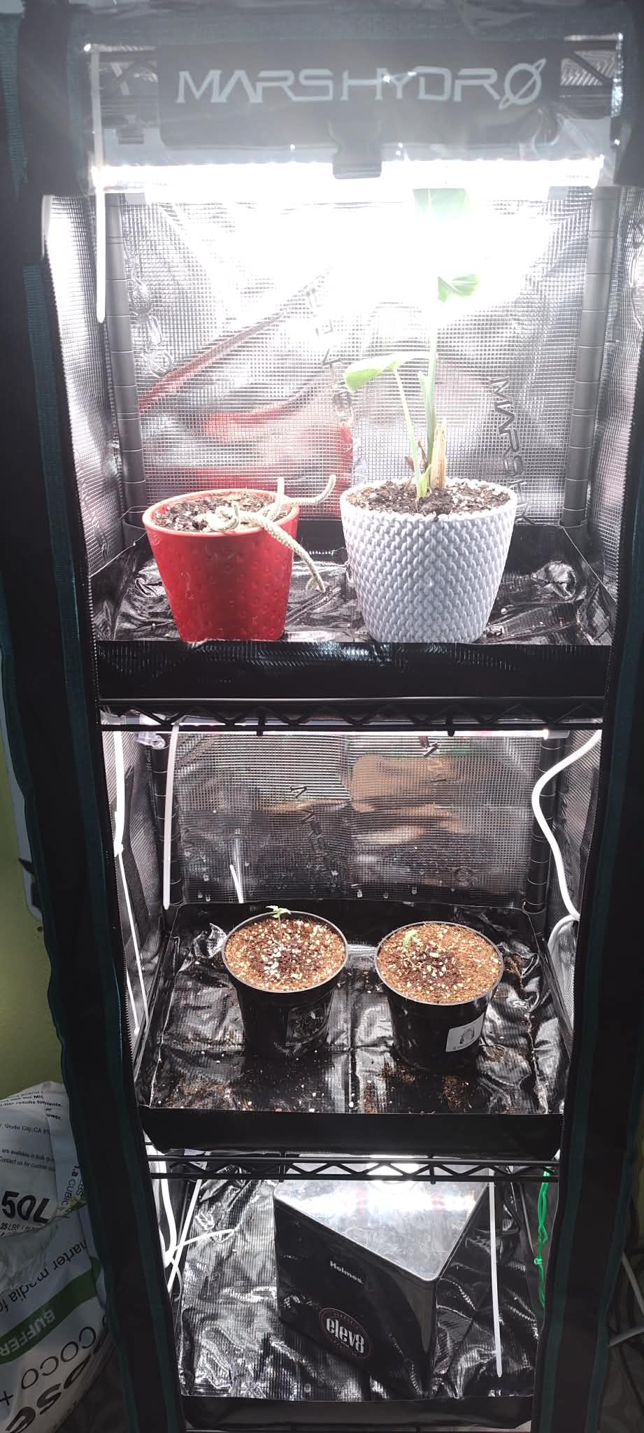MARS HYDRO 6 Tier Indoor Garden System with 225W Full Spectrum LED Lights | 2026 Indoor Grow Tent for Seedlings, Herbs and Home Plants, 43x16x71'' customer photo 1
