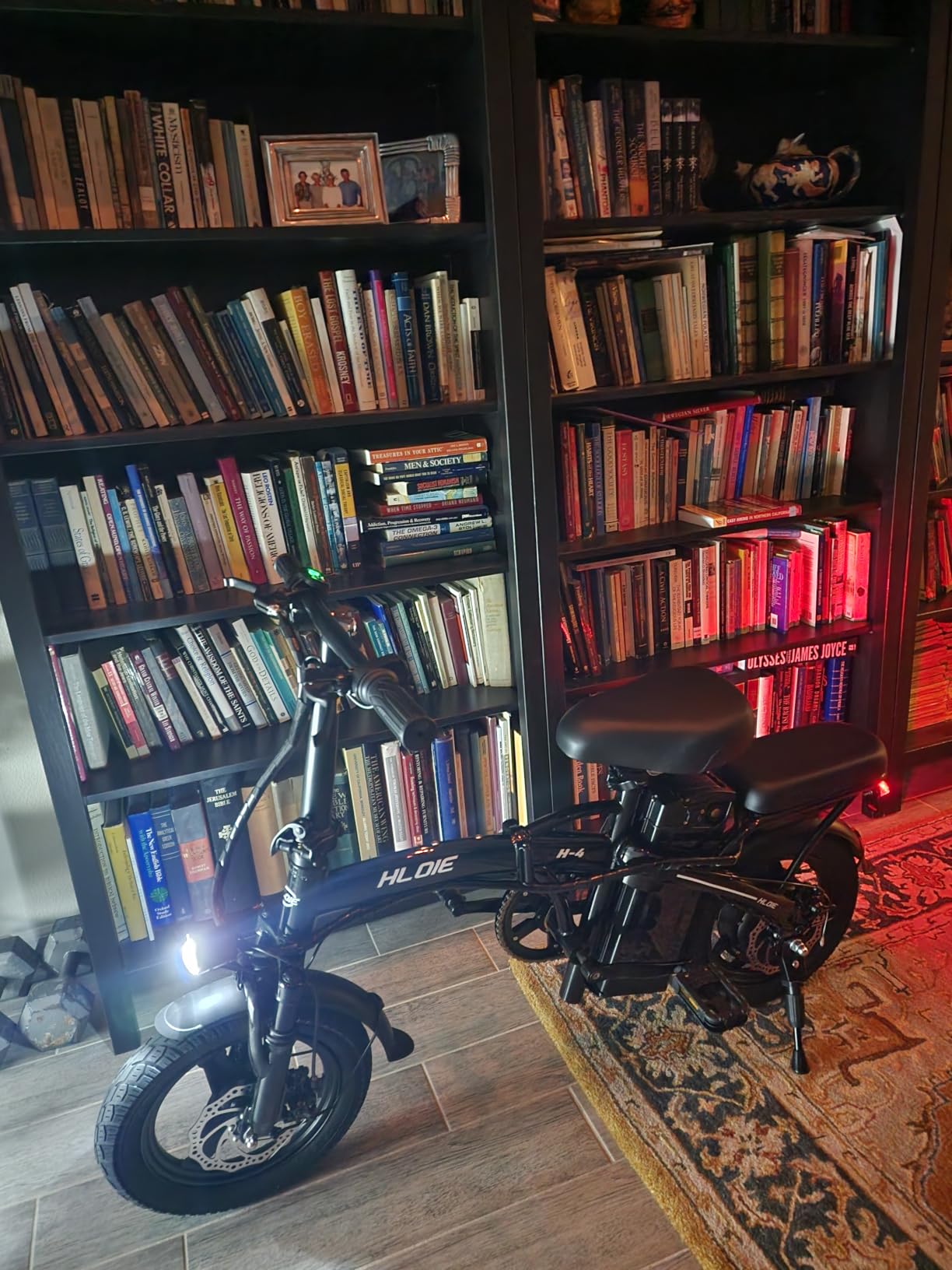 HLOIE Folding Electric Bike for Adults, Peak 750W Motor, 20MPH Max Speed Foldable Electric Bicycles, 14