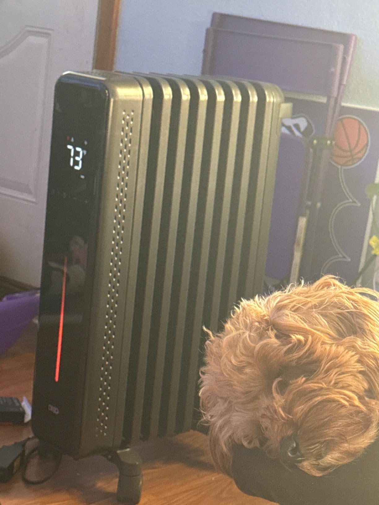 DREO Oil Filled Radiator Heater for Indoor Use, 1500W Heater for Large Room | 8 Safety Protection, Electric Heaters for Indoor Use, 8 Fins, with Remote, 4 Modes, Digital Thermostat, 24H Timer, Quiet customer photo 1