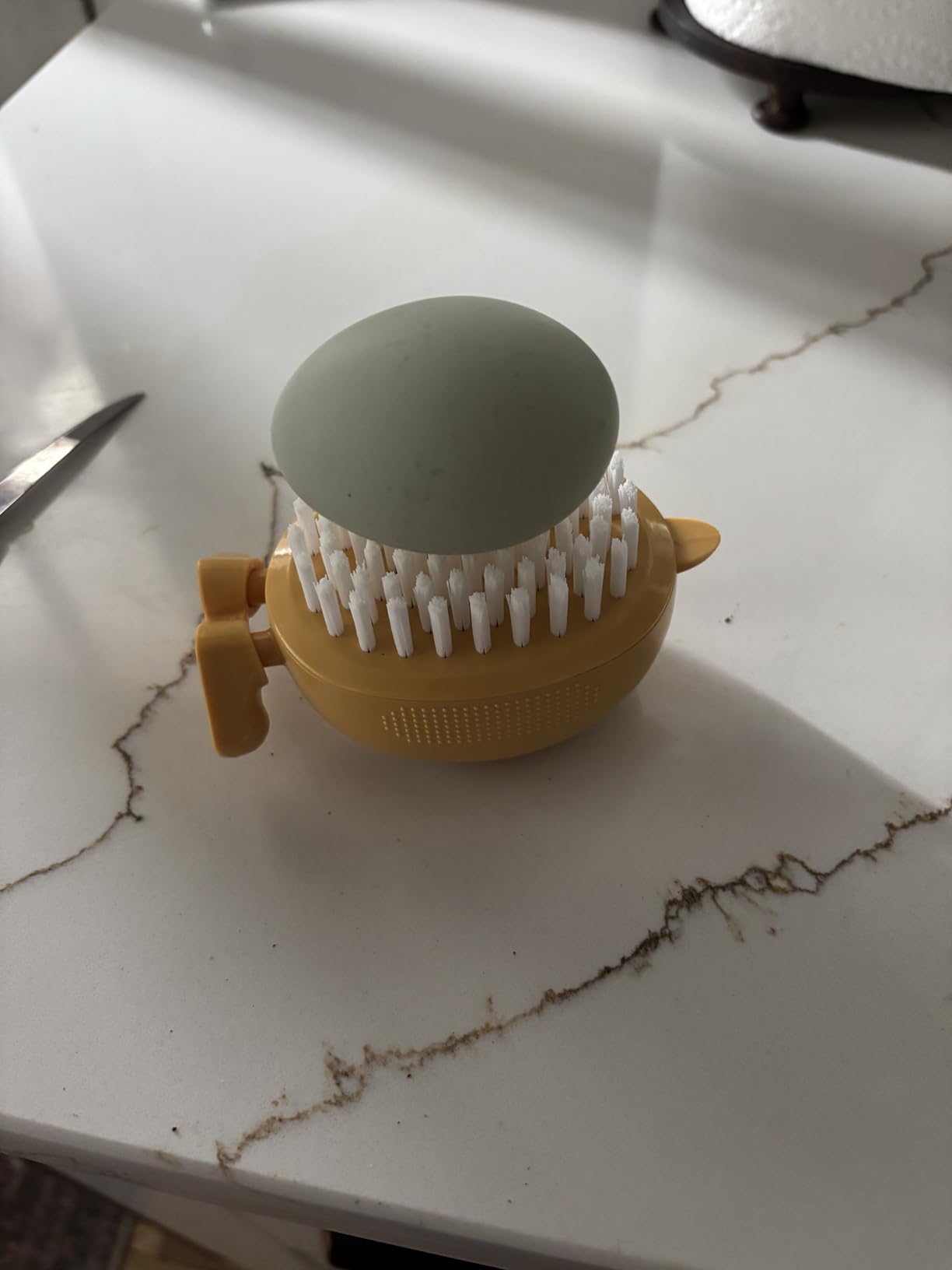Lumkew Egg Washer Cleaner for Fresh Eggs, Egg Wash and Brush Scrubber, 1pcs | Cleaning Eggshell, Universal, Cute Chicken Coop Essentials customer photo 2