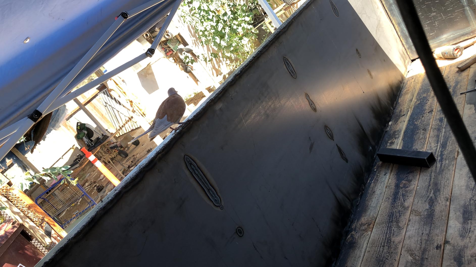 Lincoln Electric Weld-Pak 225i Stick Welder, Dual Voltage customer photo 2