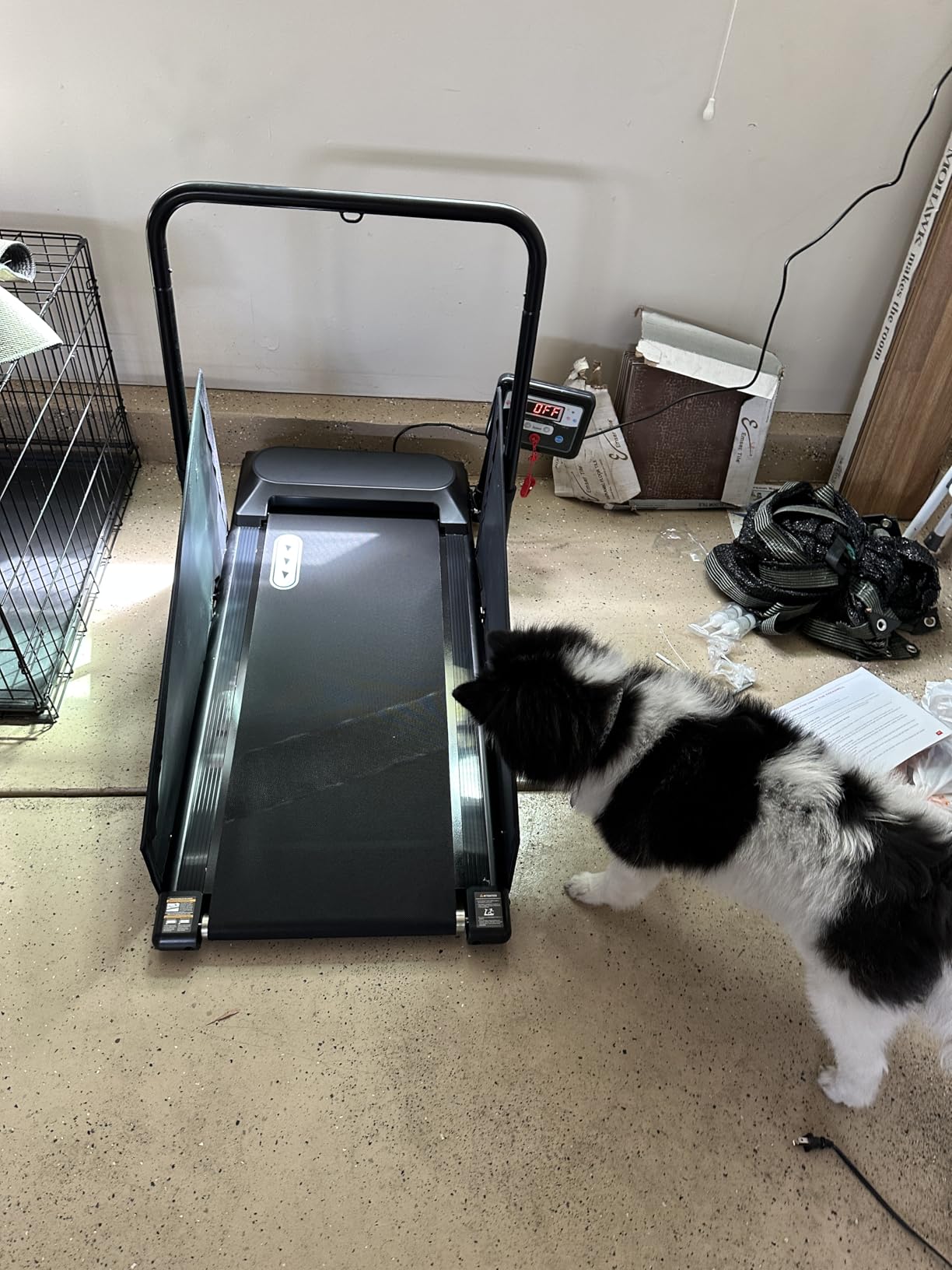 Petbobi Dog Treadmill for Small & Medium Dogs Up to 265 lbs Indoor Exercise | Quiet motor, 360° rotatable display, remote control & wheels, foldable design, fitness & weight management, easy to assemble customer photo 2