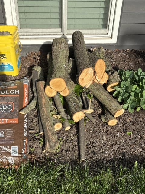HEINPRO Cordless Pole Saw Compatible with Dewalt 20V MAX Battery | 8-Inch Electric Pole Saws for Tree Trimming Battery Powered, Extension Up to 14.2-Feet Pole Chainsaw (Battery not Included) customer photo 1